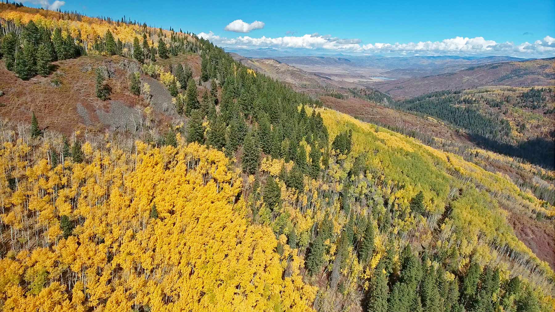 Woodchuck Mountain Ranch property picture 37 of 68