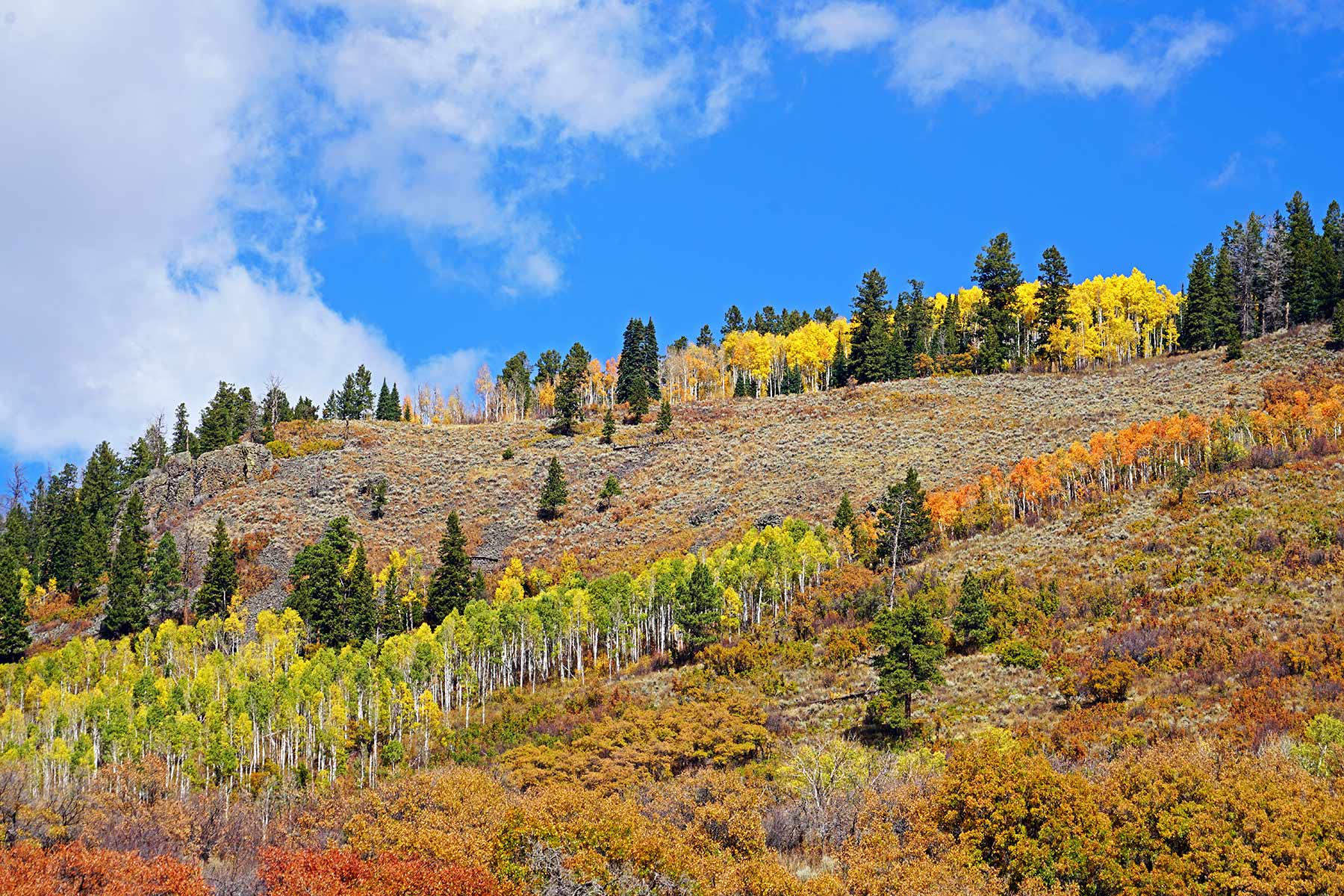 Woodchuck Mountain Ranch property picture 16 of 68