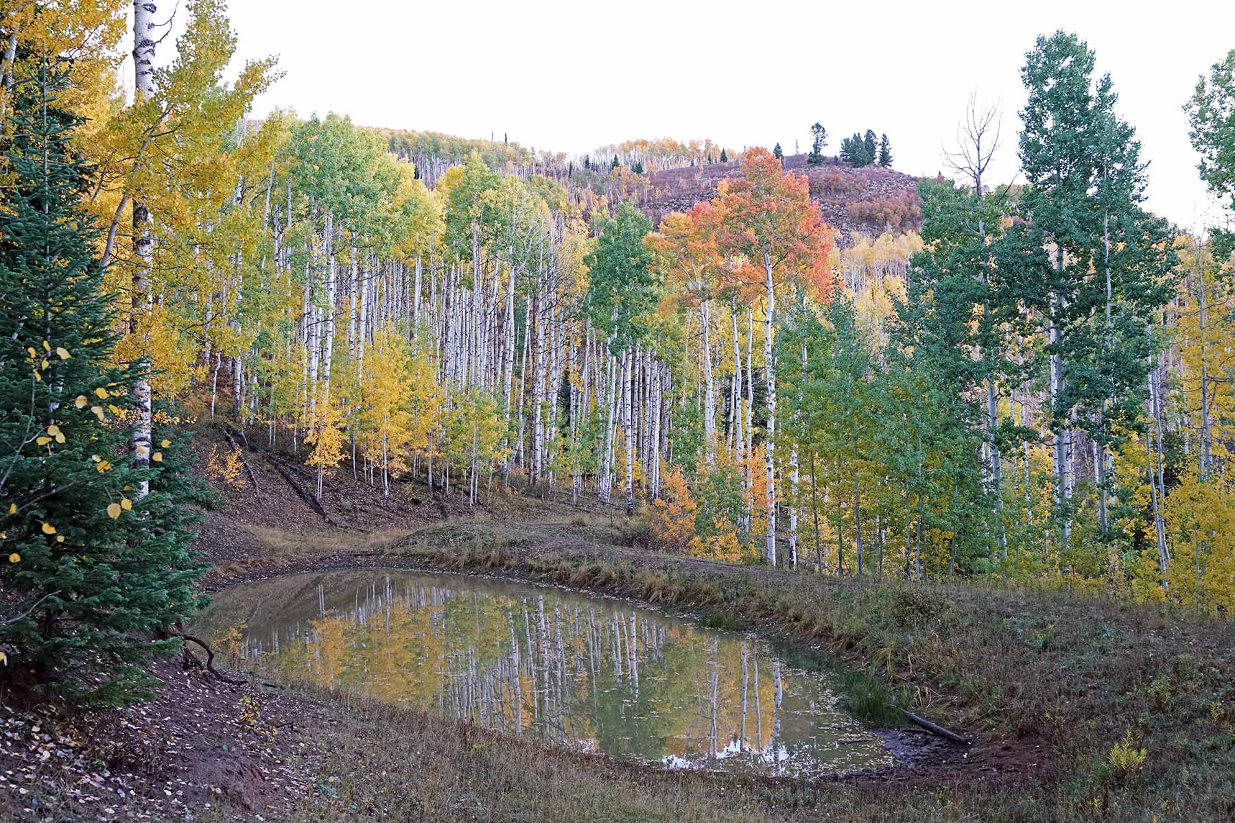 Woodchuck Mountain Ranch property picture 19 of 68