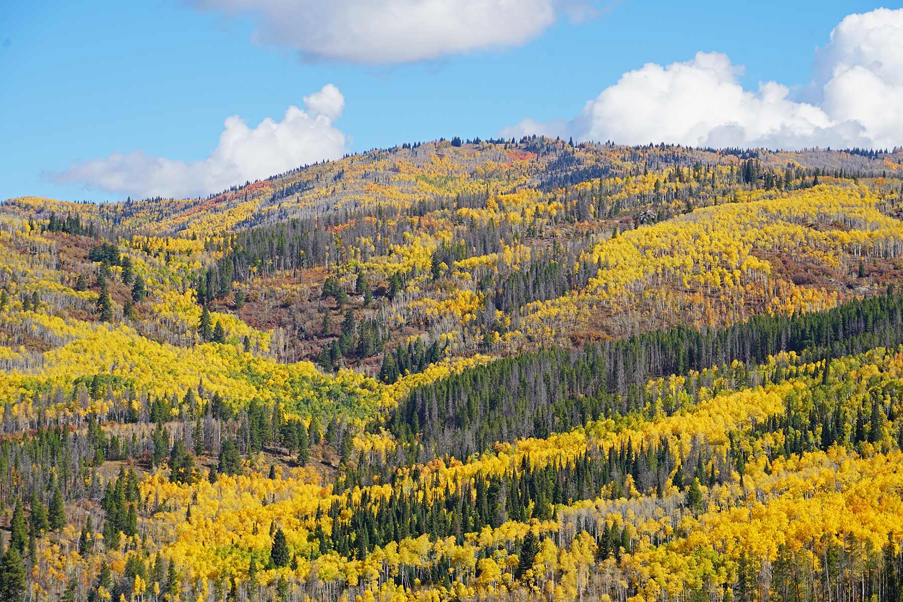 Woodchuck Mountain Ranch property picture 57 of 68