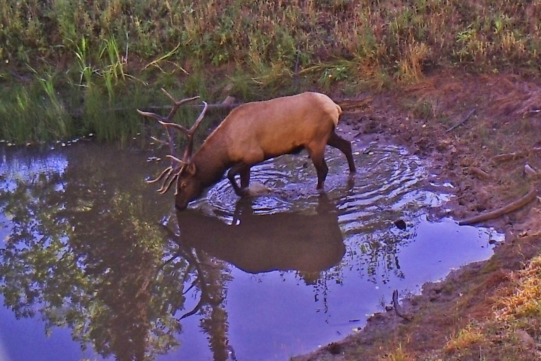 Woodchuck Mountain Ranch property picture 10 of 68
