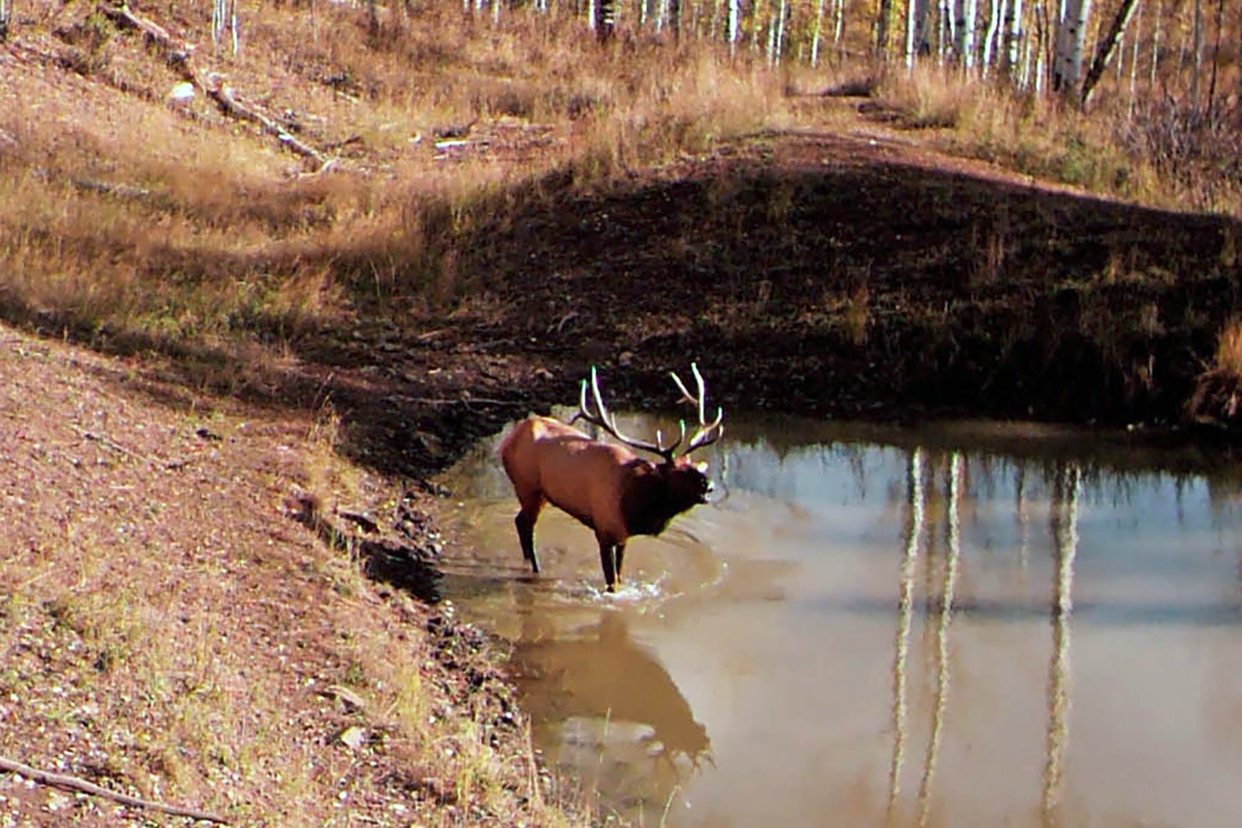 Woodchuck Mountain Ranch property picture 43 of 68