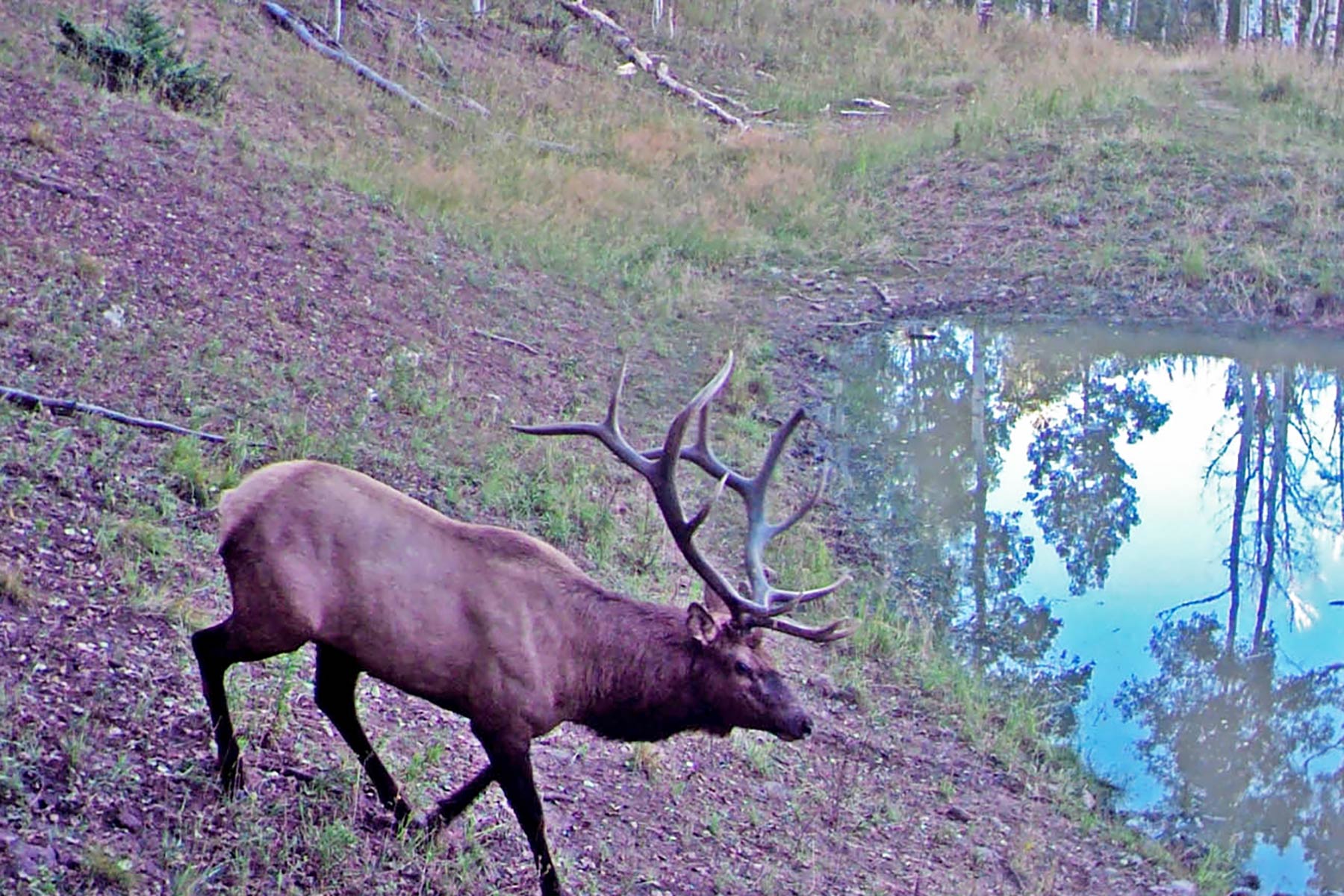 Woodchuck Mountain Ranch property picture 8 of 68