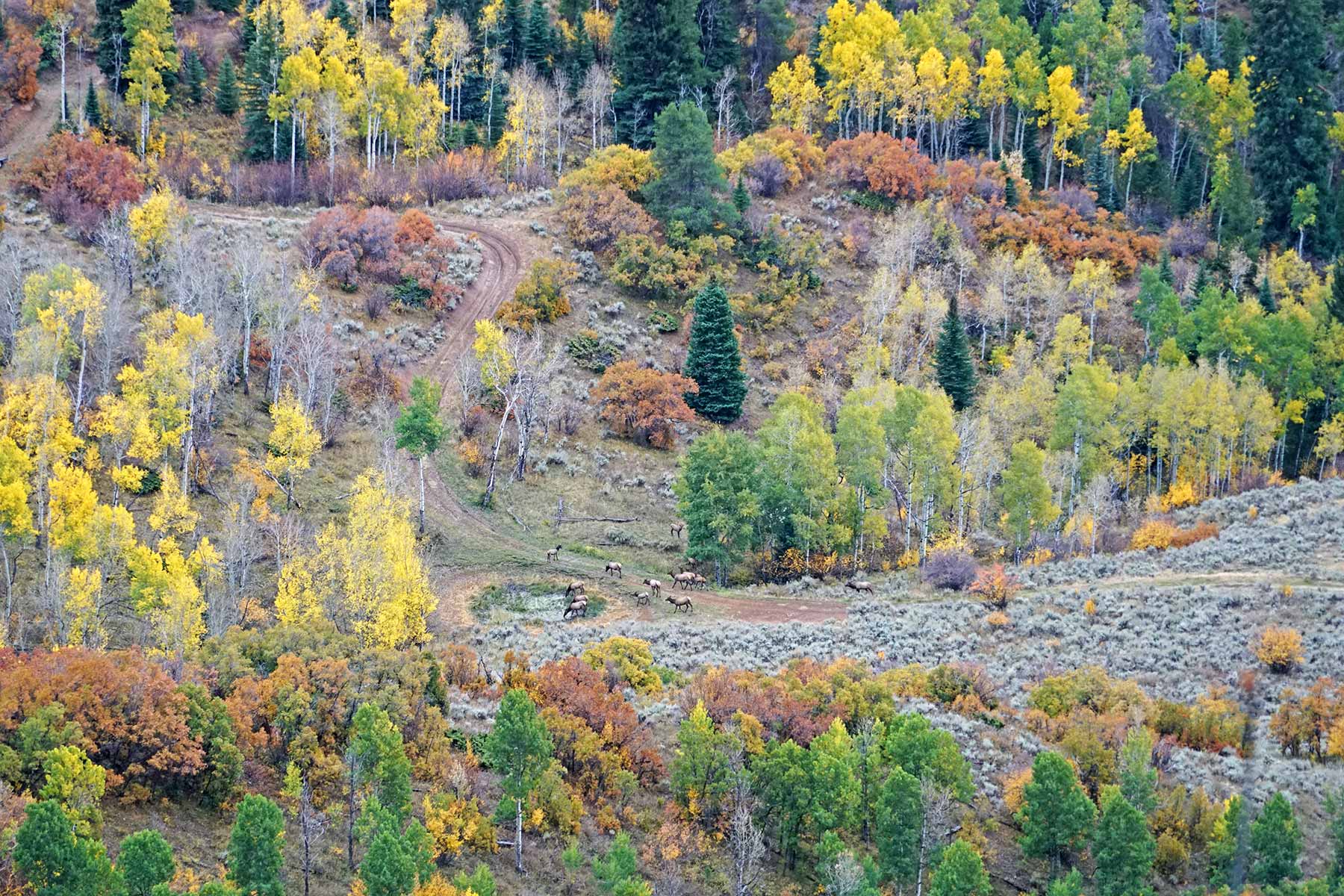 Woodchuck Mountain Ranch property picture 12 of 68
