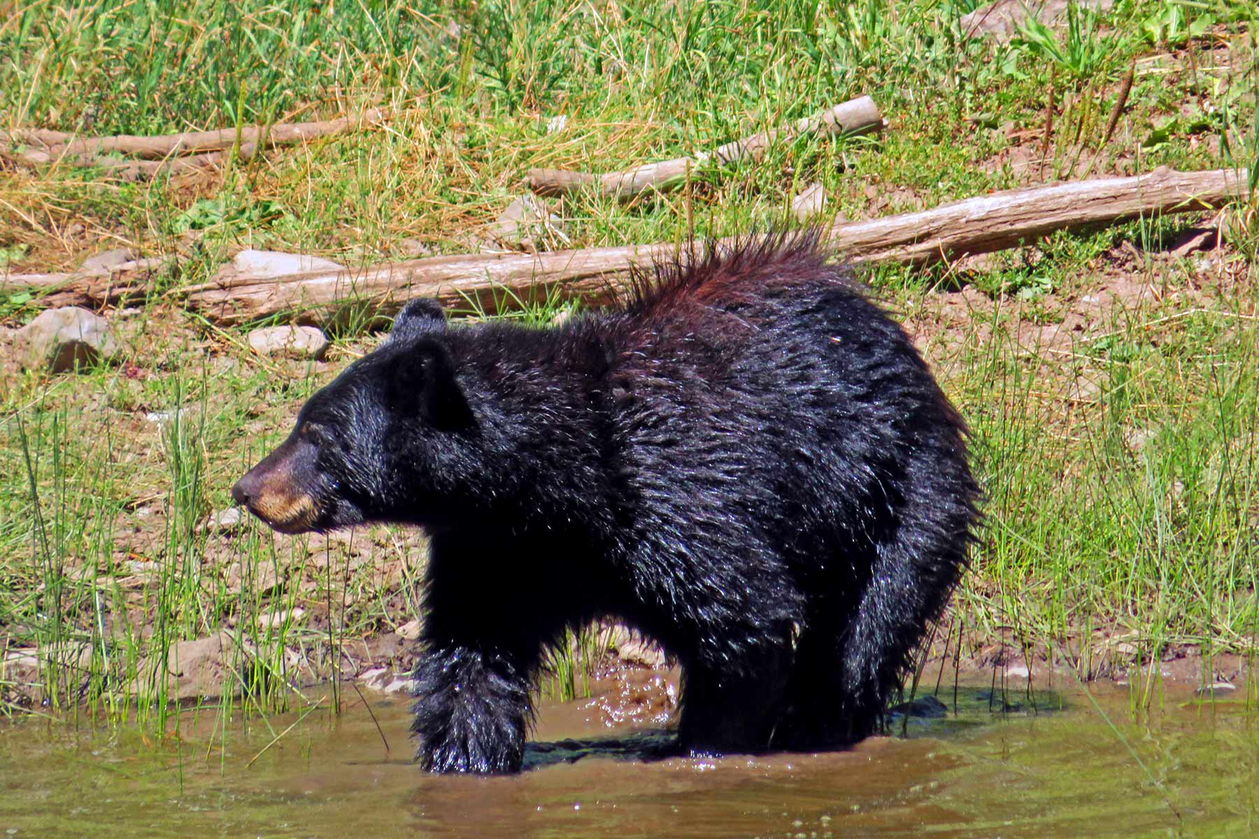 Woodchuck Mountain Ranch Sold Colorado Hall and Hall