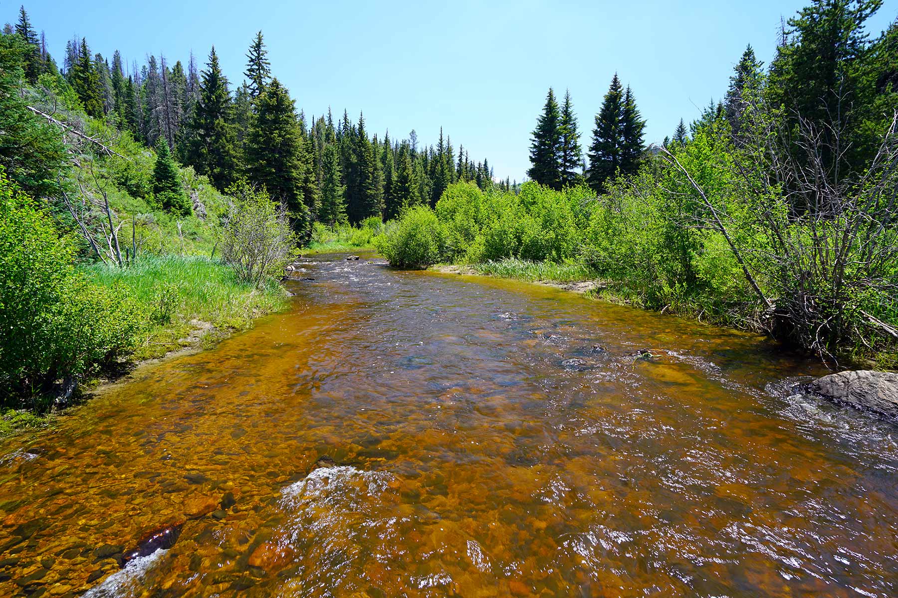 Woodchuck Mountain Ranch property picture 27 of 68
