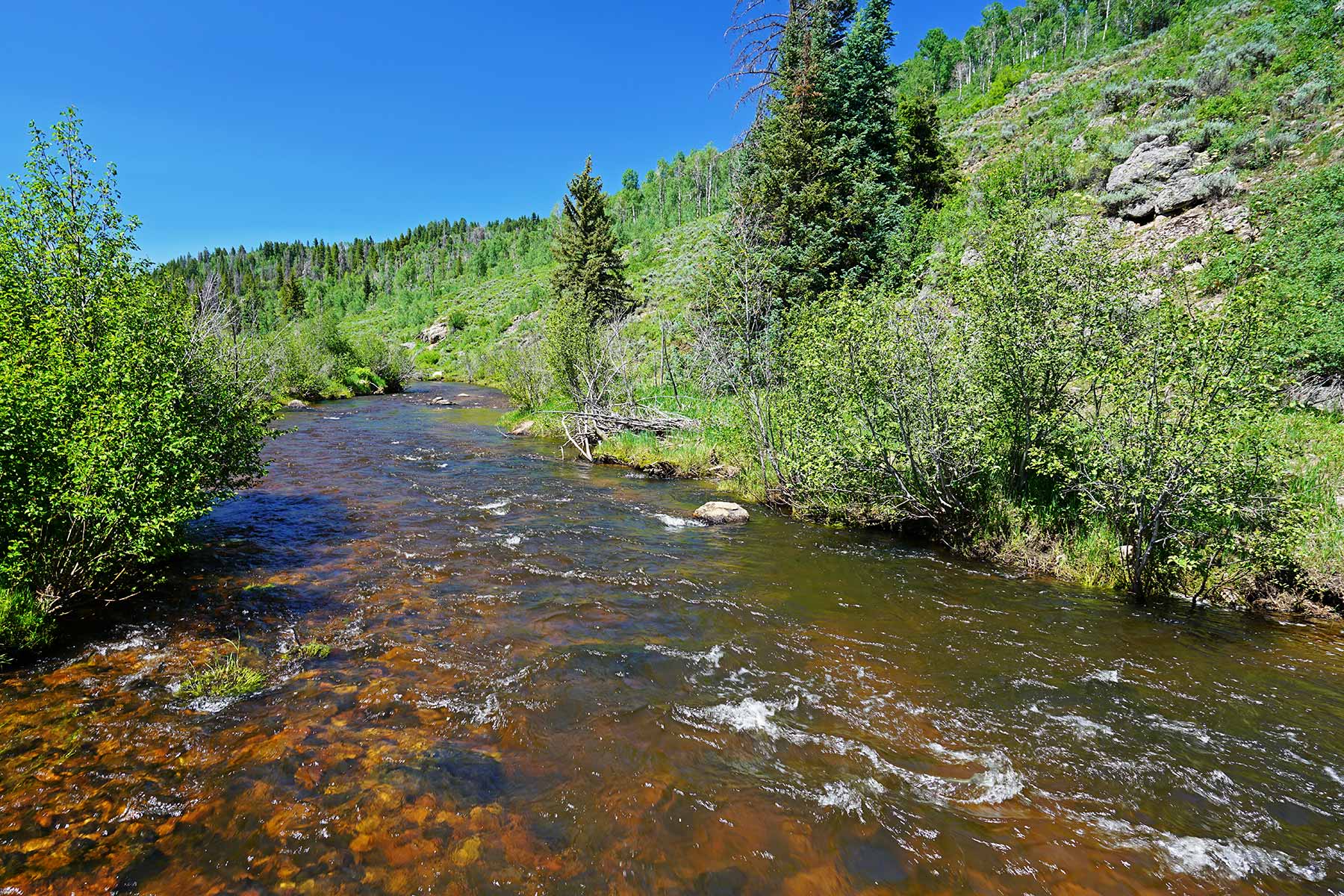 Woodchuck Mountain Ranch property picture 11 of 68
