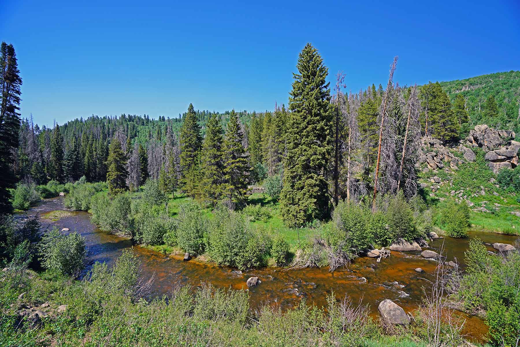 Woodchuck Mountain Ranch property picture 7 of 68