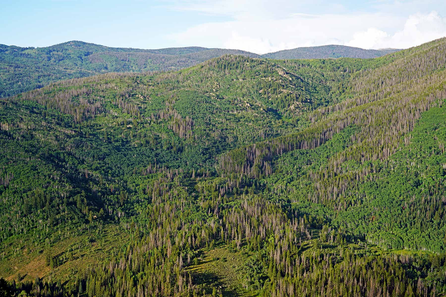 Woodchuck Mountain Ranch property picture 14 of 68