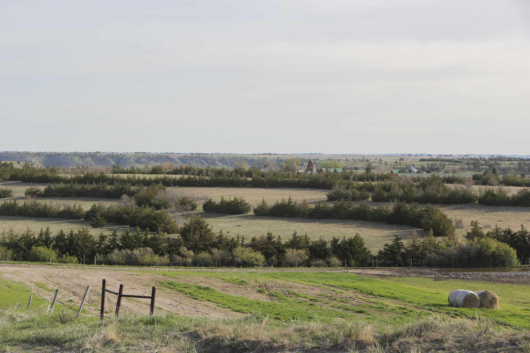 Hoot Owl Ranch property picture 3 of 15