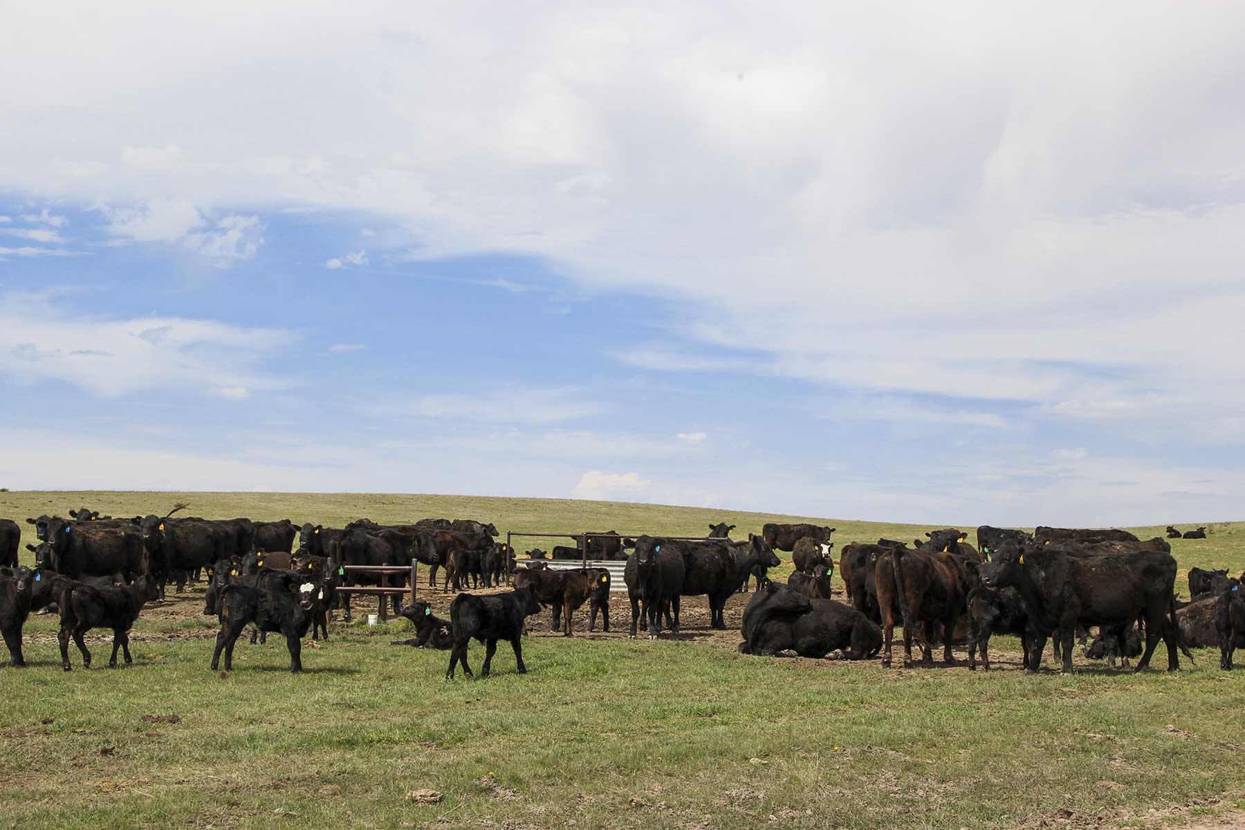 Hoot Owl Ranch property picture 5 of 15