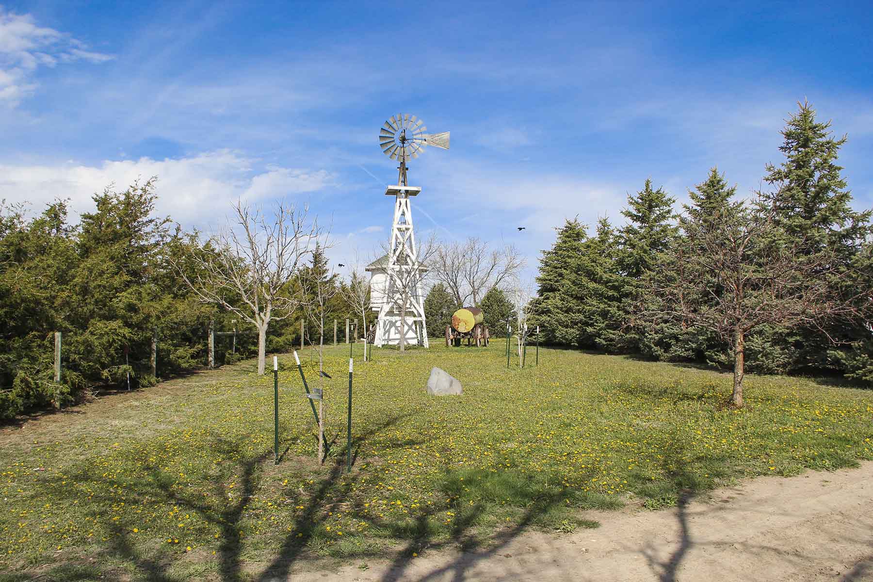 Hoot Owl Ranch property picture 10 of 15