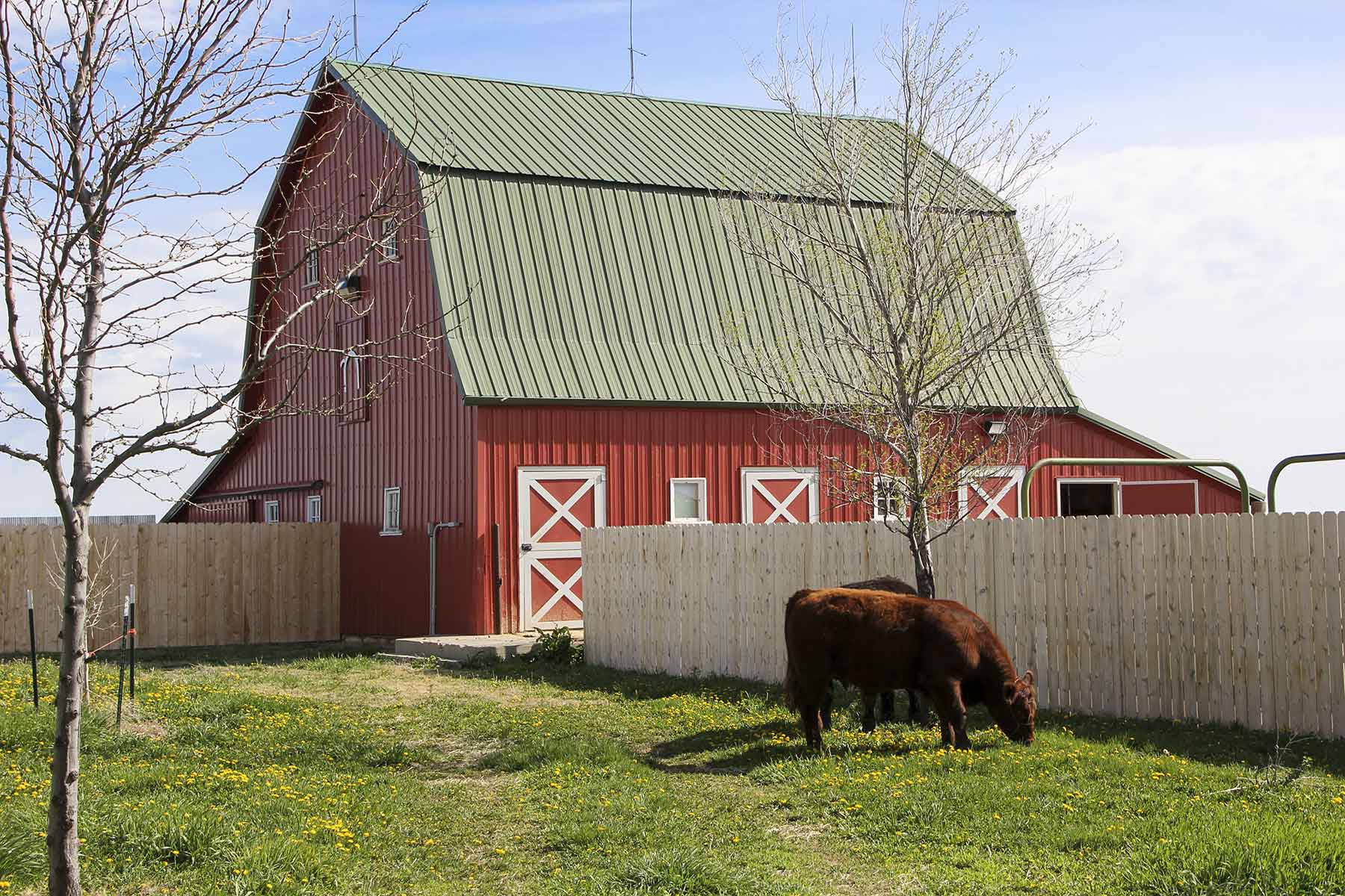 Hoot Owl Ranch property picture 15 of 15