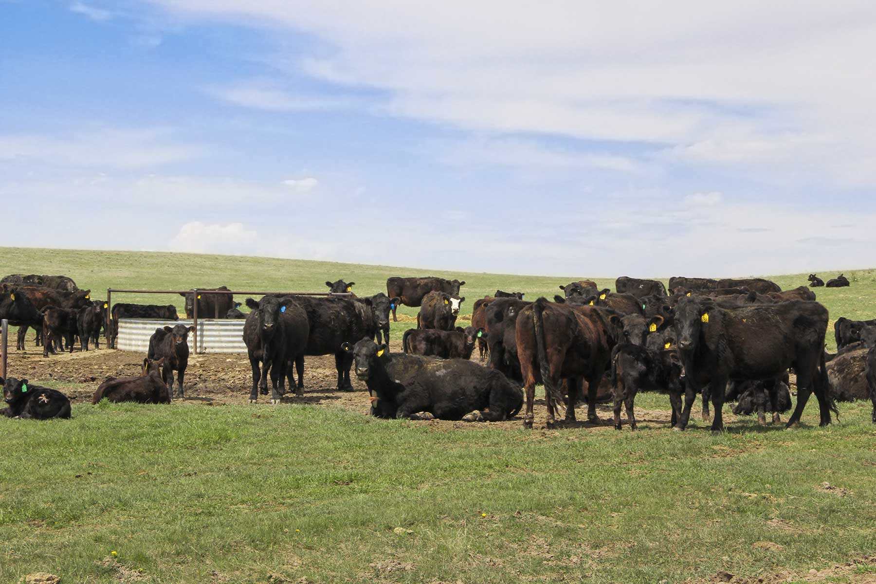 Hoot Owl Ranch property picture 13 of 15