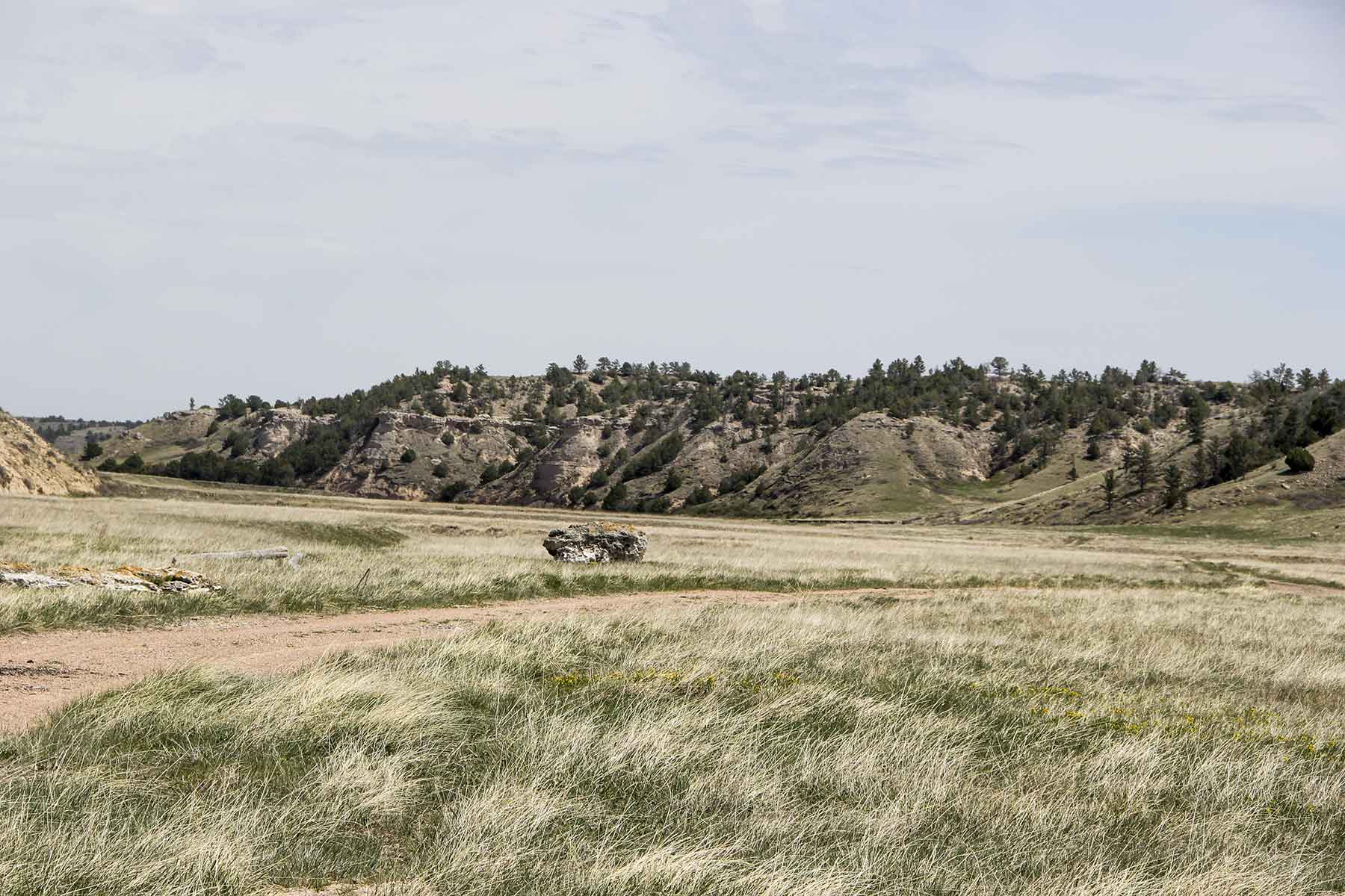 Hoot Owl Ranch property picture 2 of 15