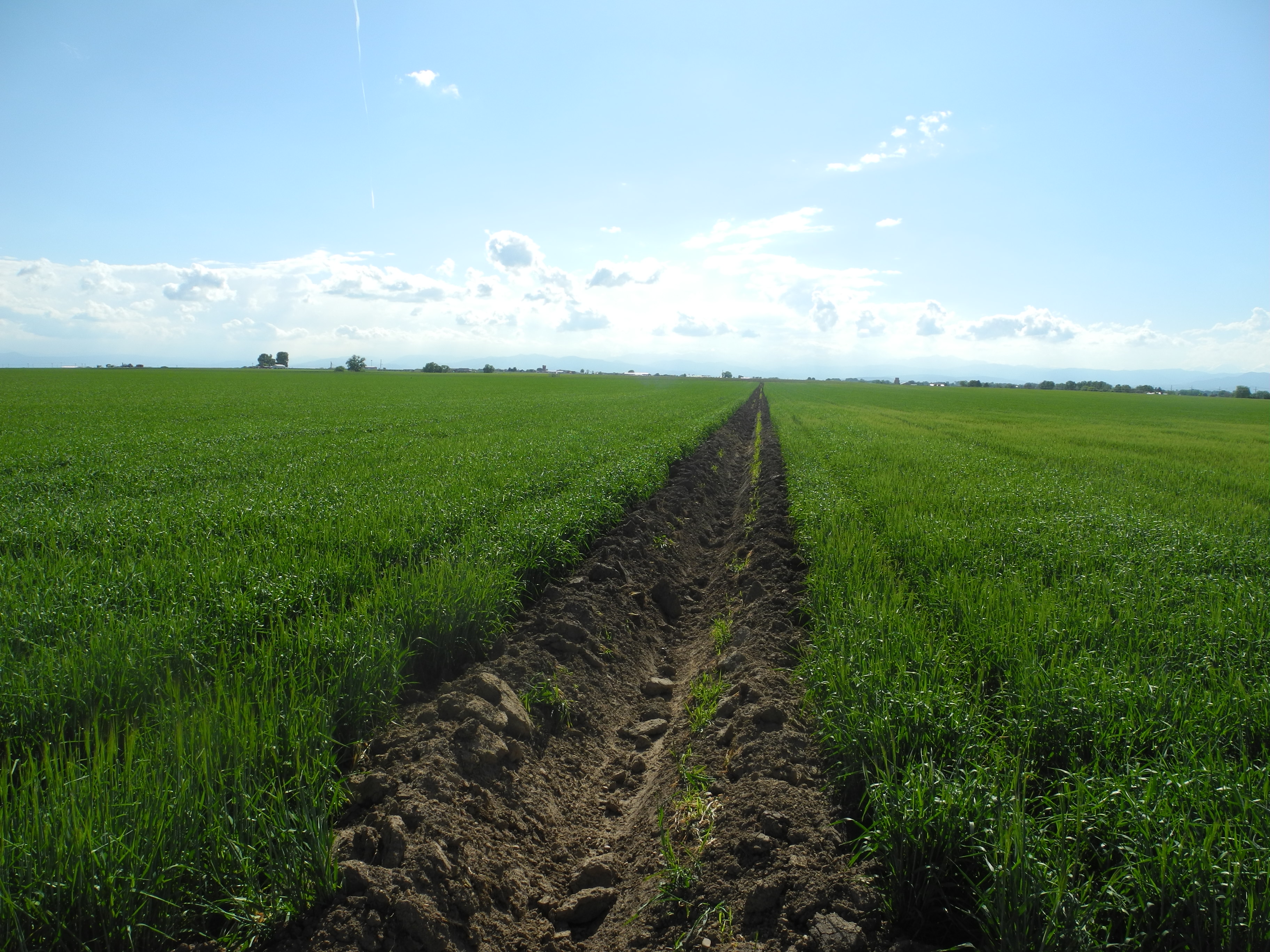 Reynolds Farm & Water Auction property picture 9 of 13