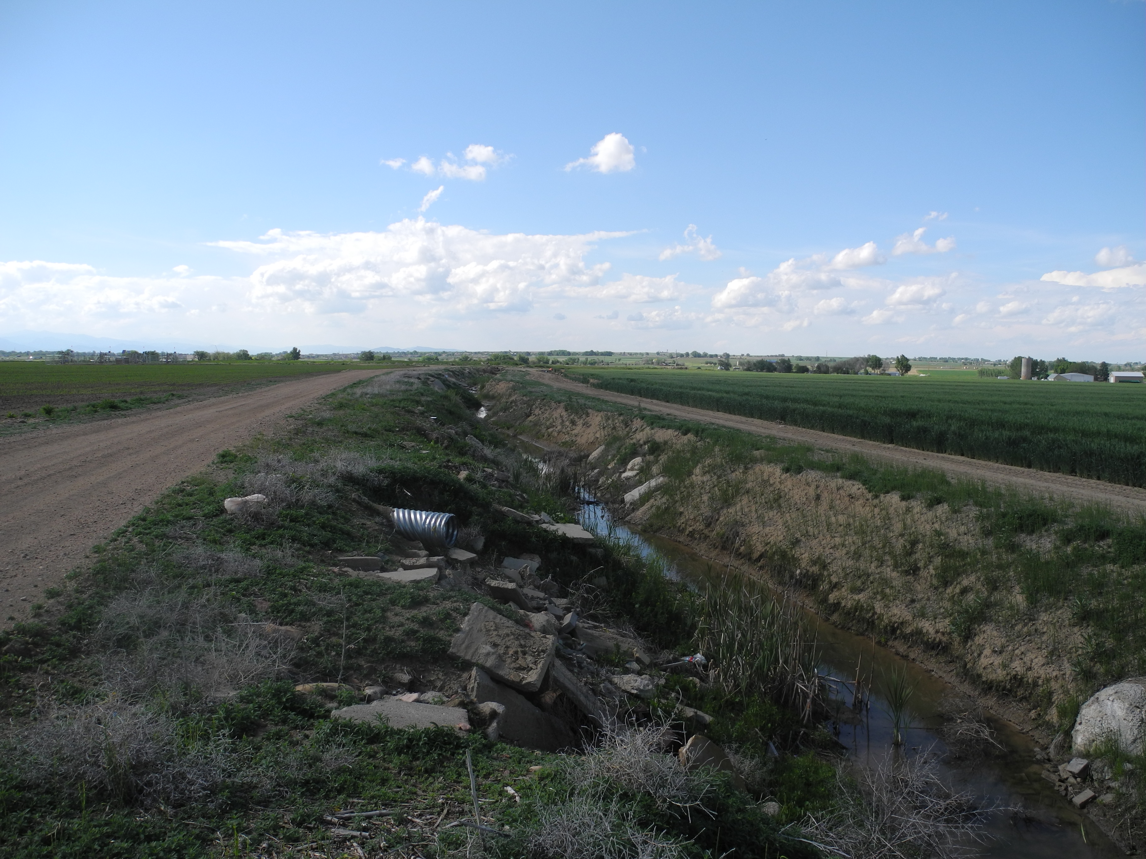 Reynolds Farm & Water Auction property picture 11 of 13