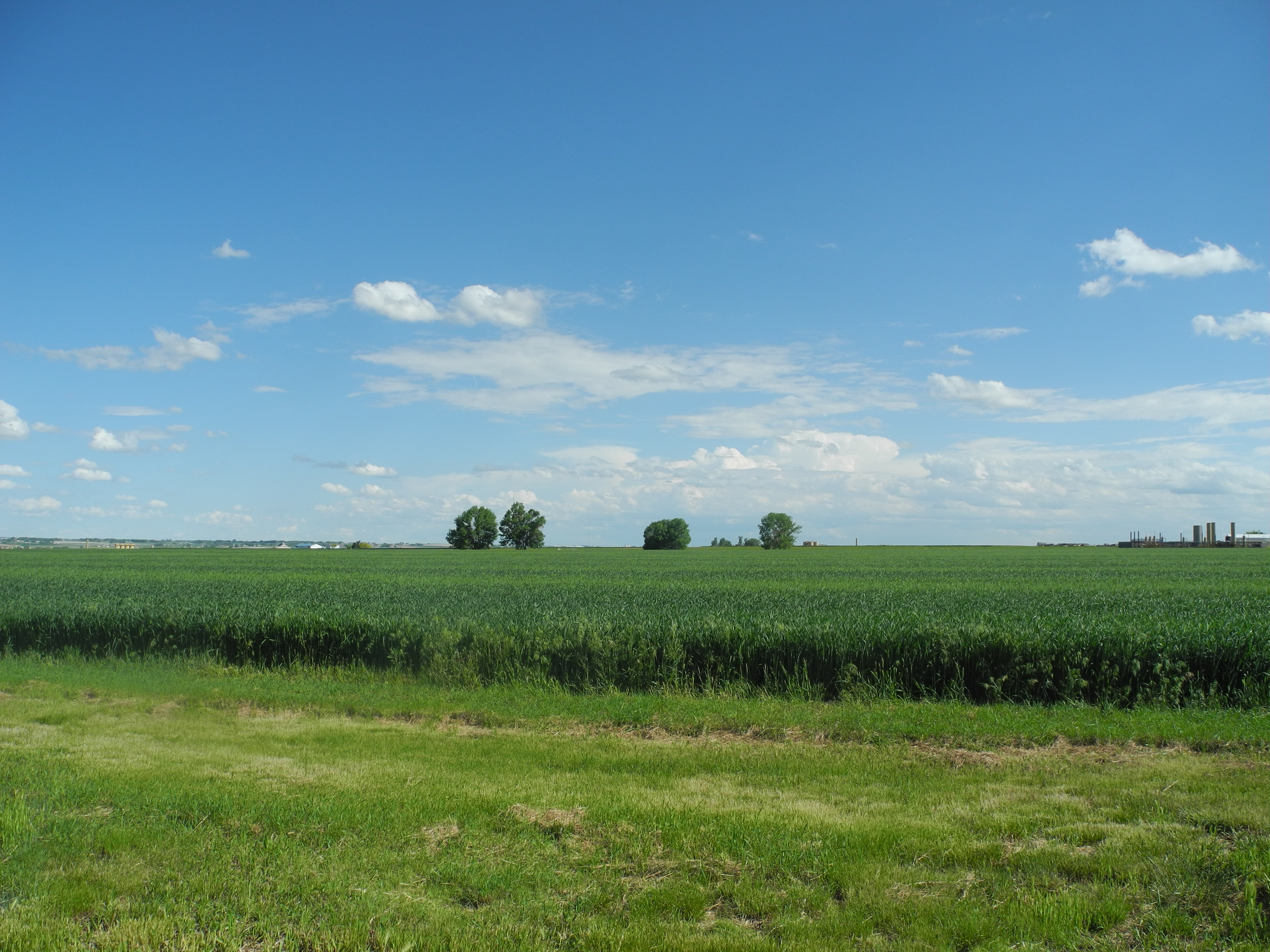Reynolds Farm & Water Auction property picture 6 of 13