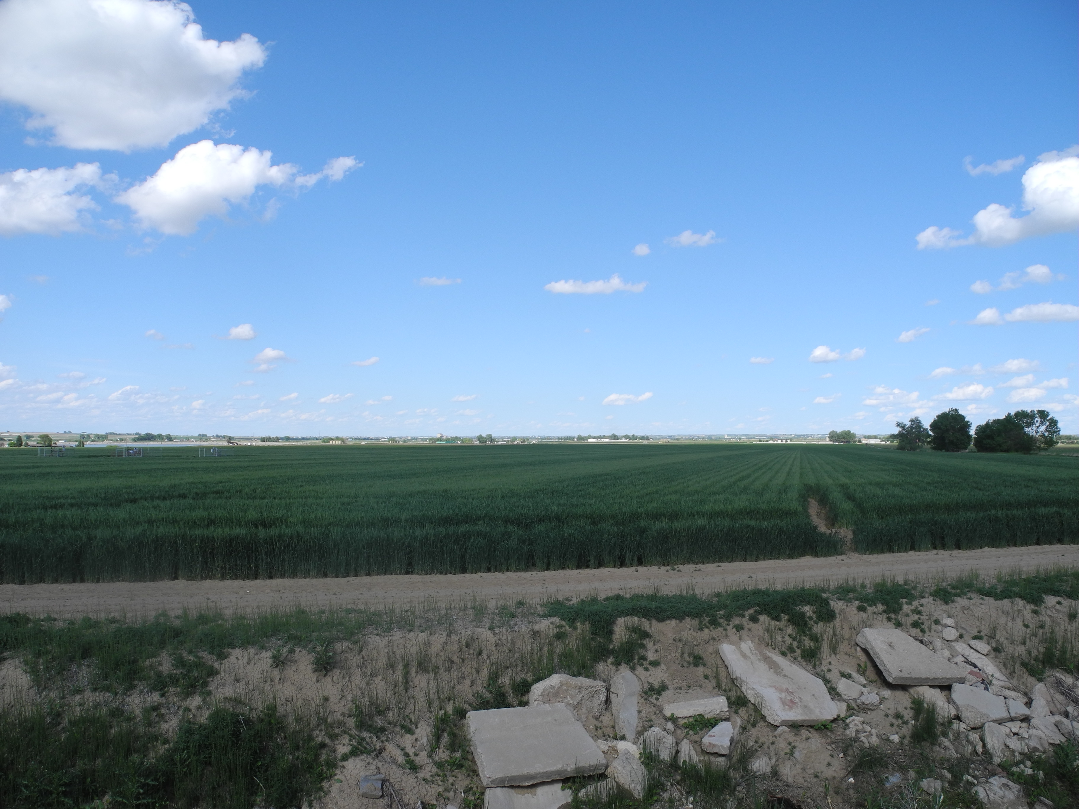 Reynolds Farm & Water Auction property picture 13 of 13