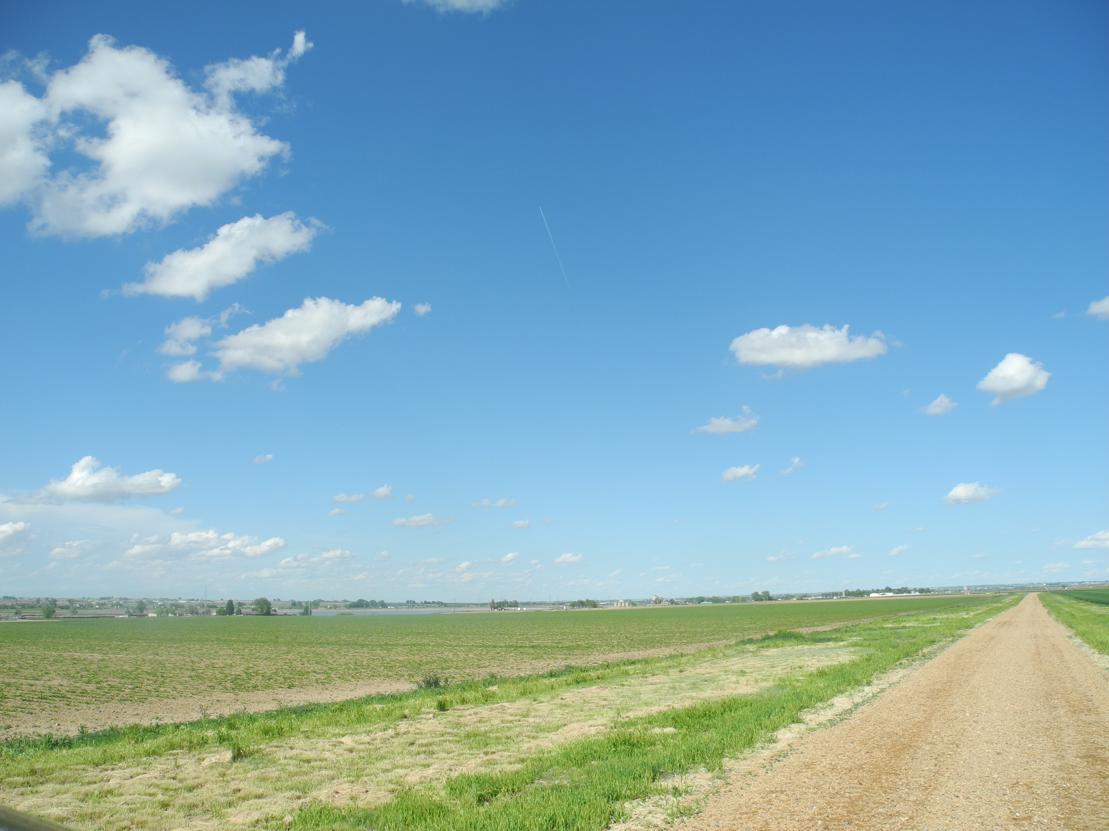 Reynolds Farm & Water Auction property picture 7 of 13