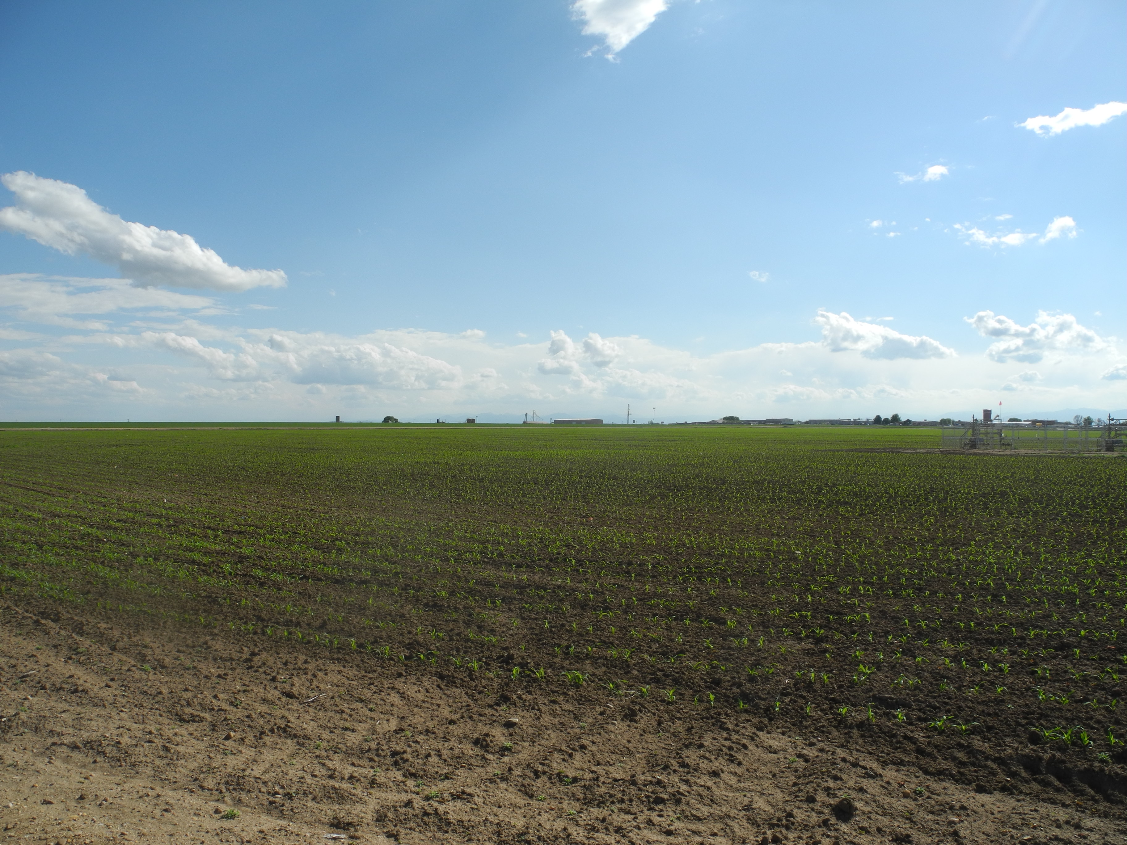 Reynolds Farm & Water Auction property picture 8 of 13