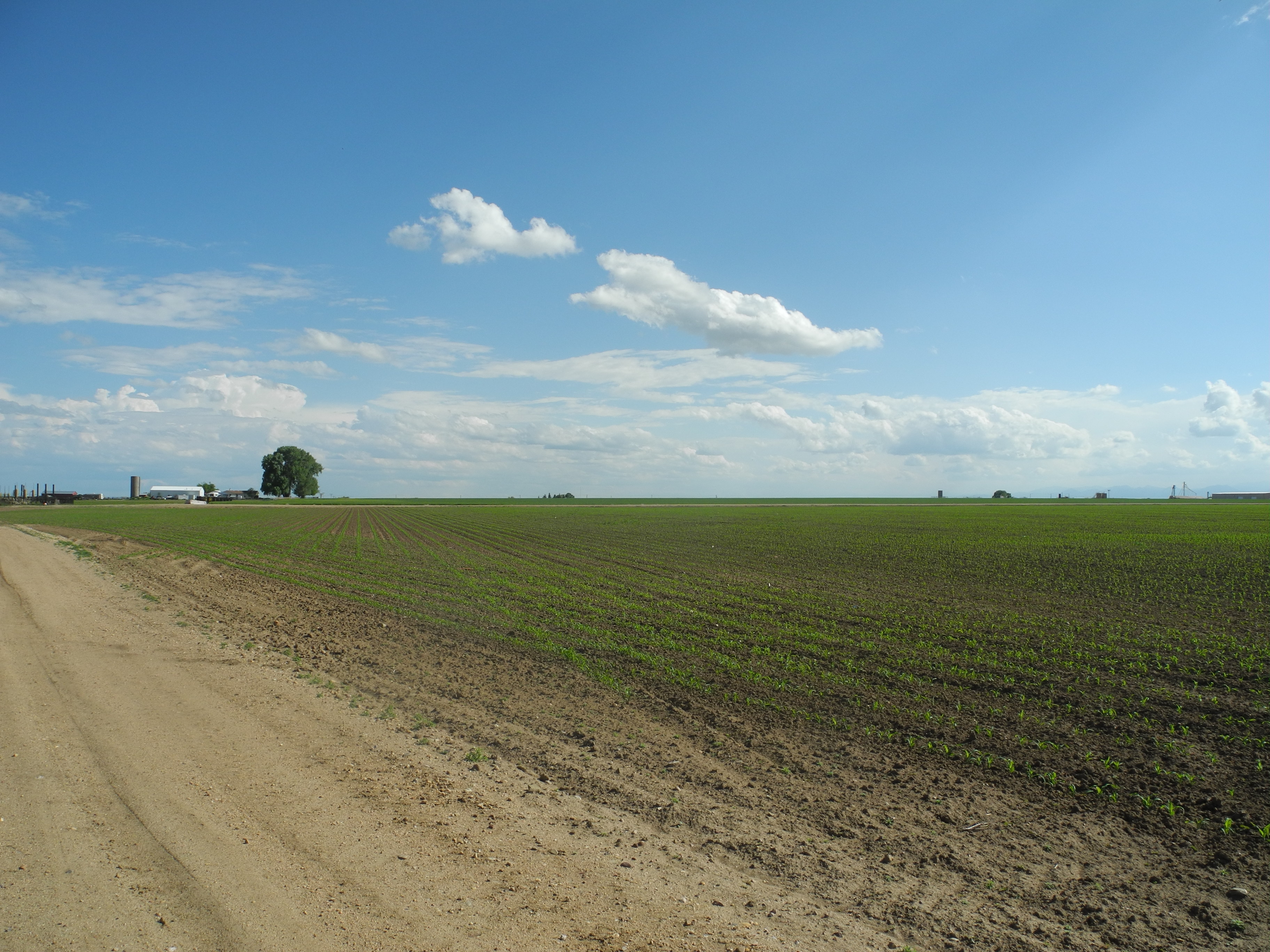 Reynolds Farm & Water Auction property picture 2 of 13