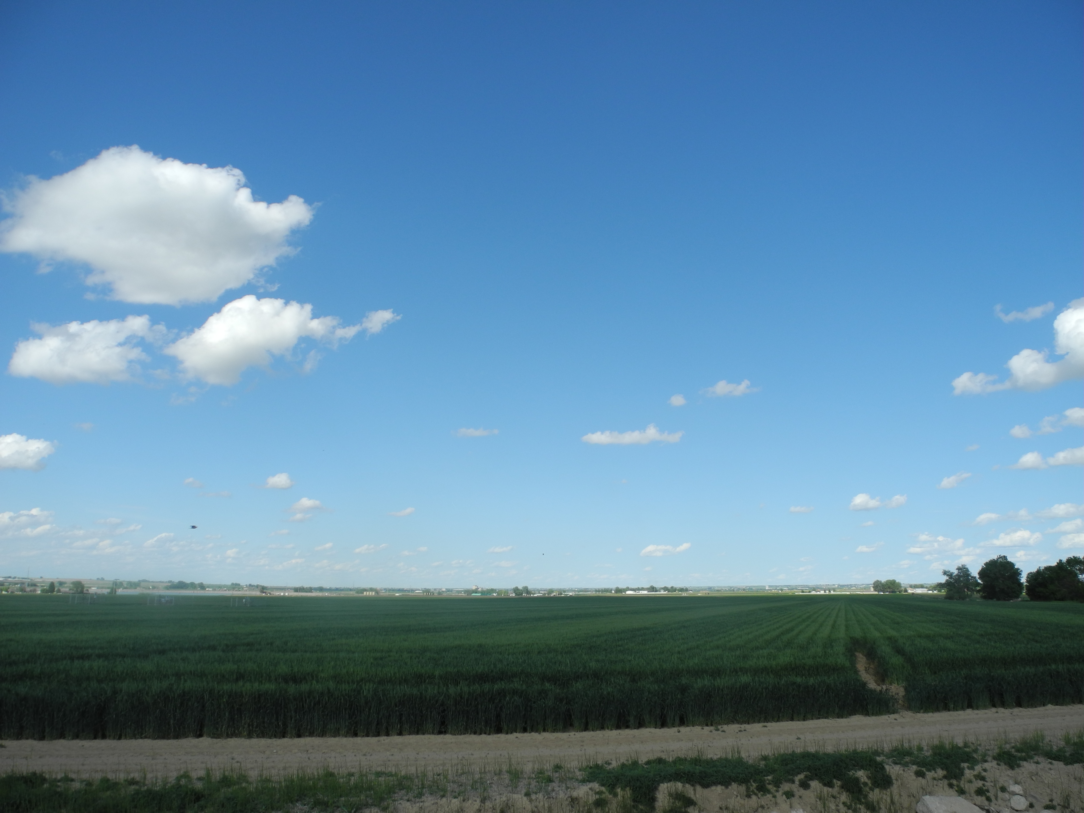 Reynolds Farm & Water Auction property picture 12 of 13