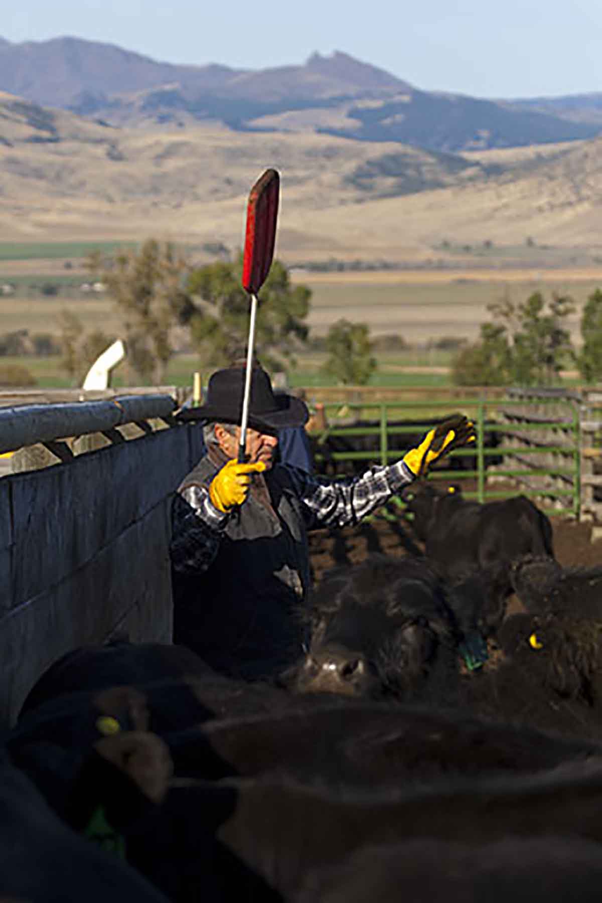 Dancing Wind Ranch property picture 133 of 137