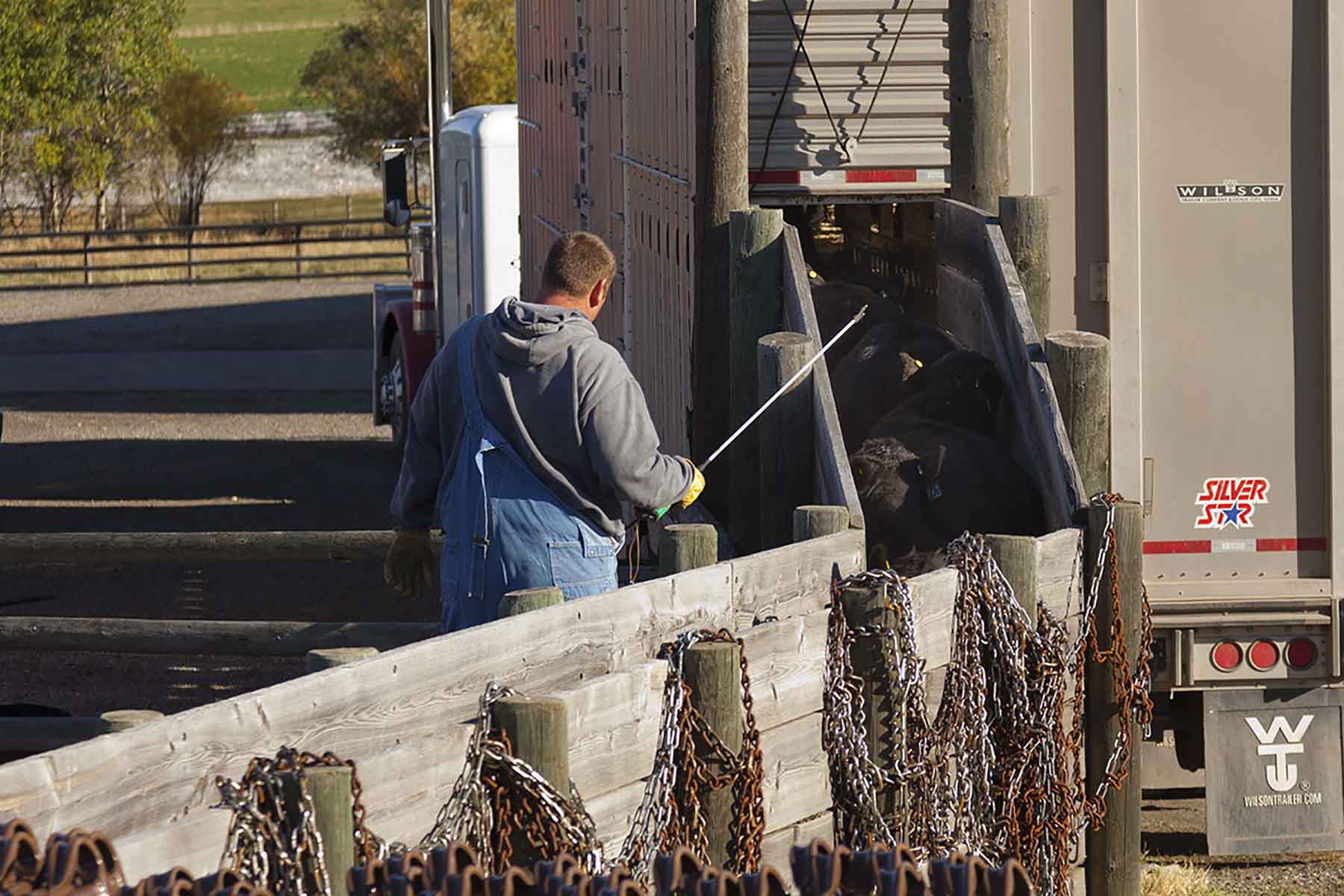 Dancing Wind Ranch property picture 134 of 137