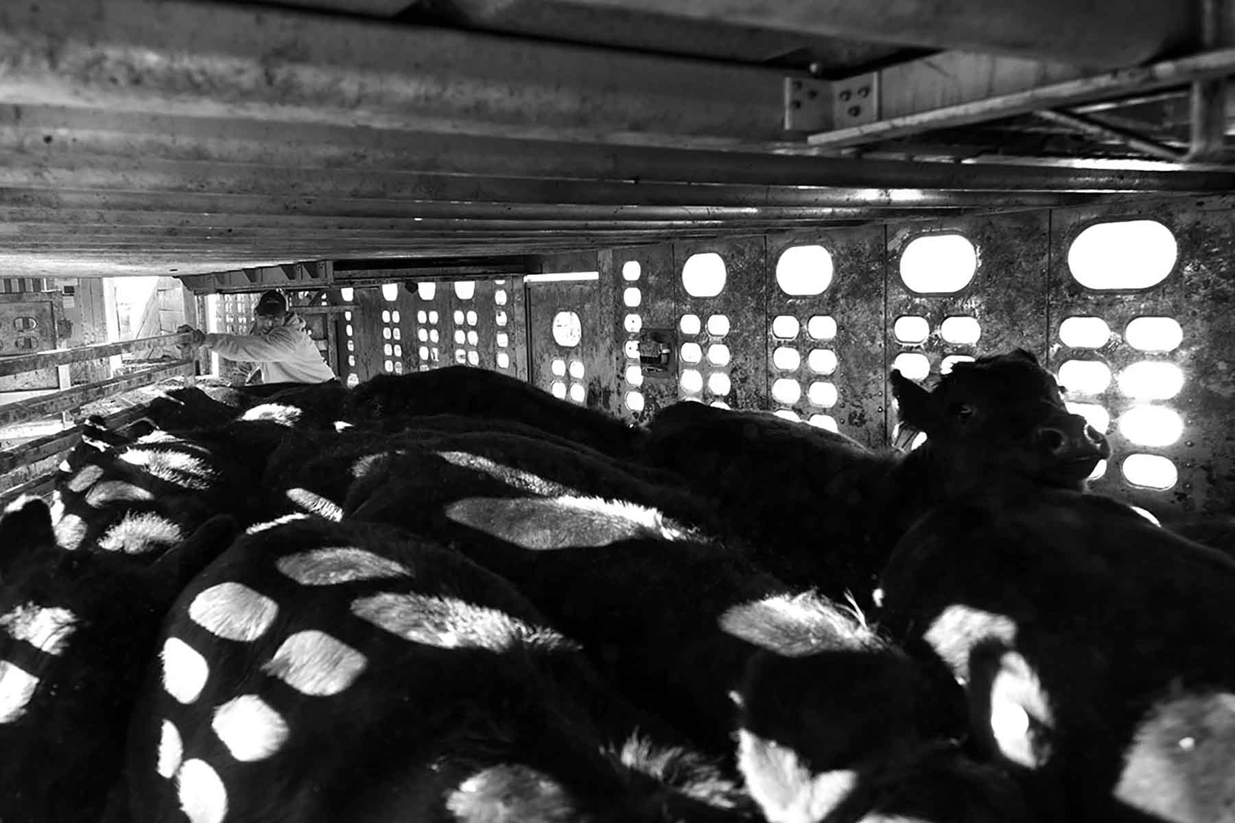 Dancing Wind Ranch property picture 135 of 137