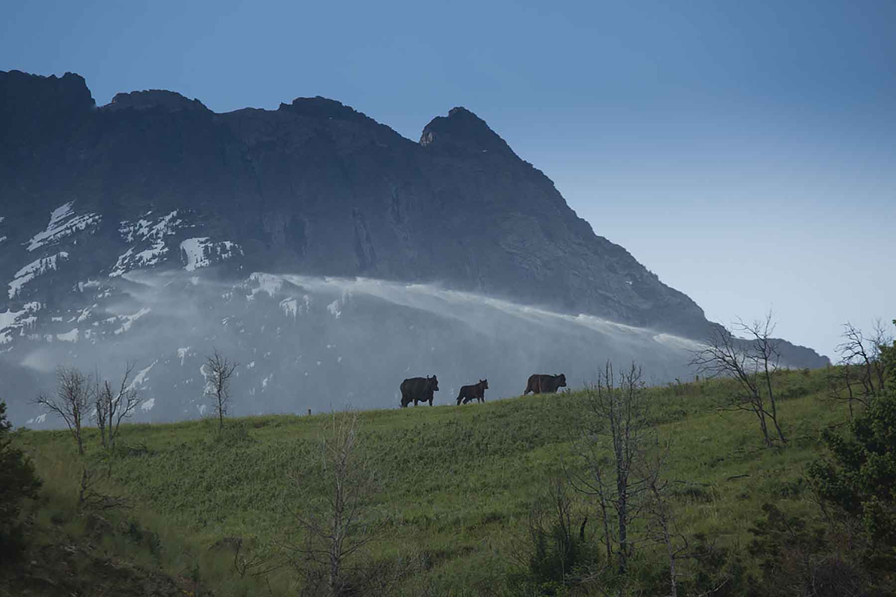 Dancing Wind Ranch property picture 130 of 137