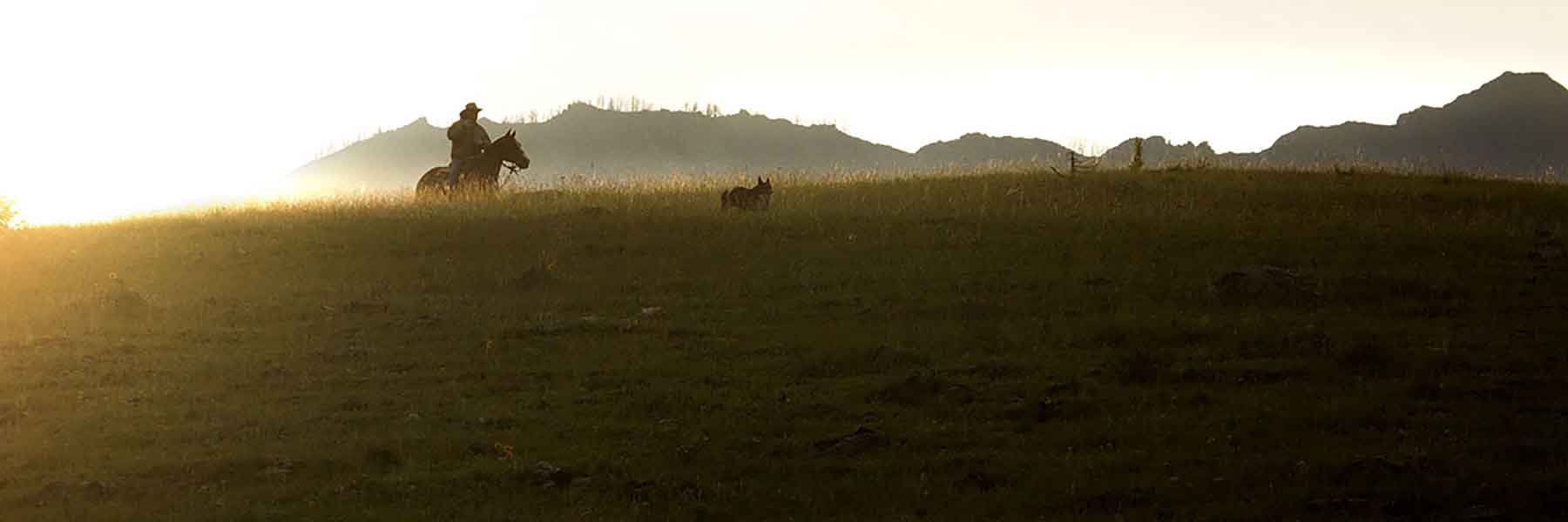 Dancing Wind Ranch property picture 127 of 137
