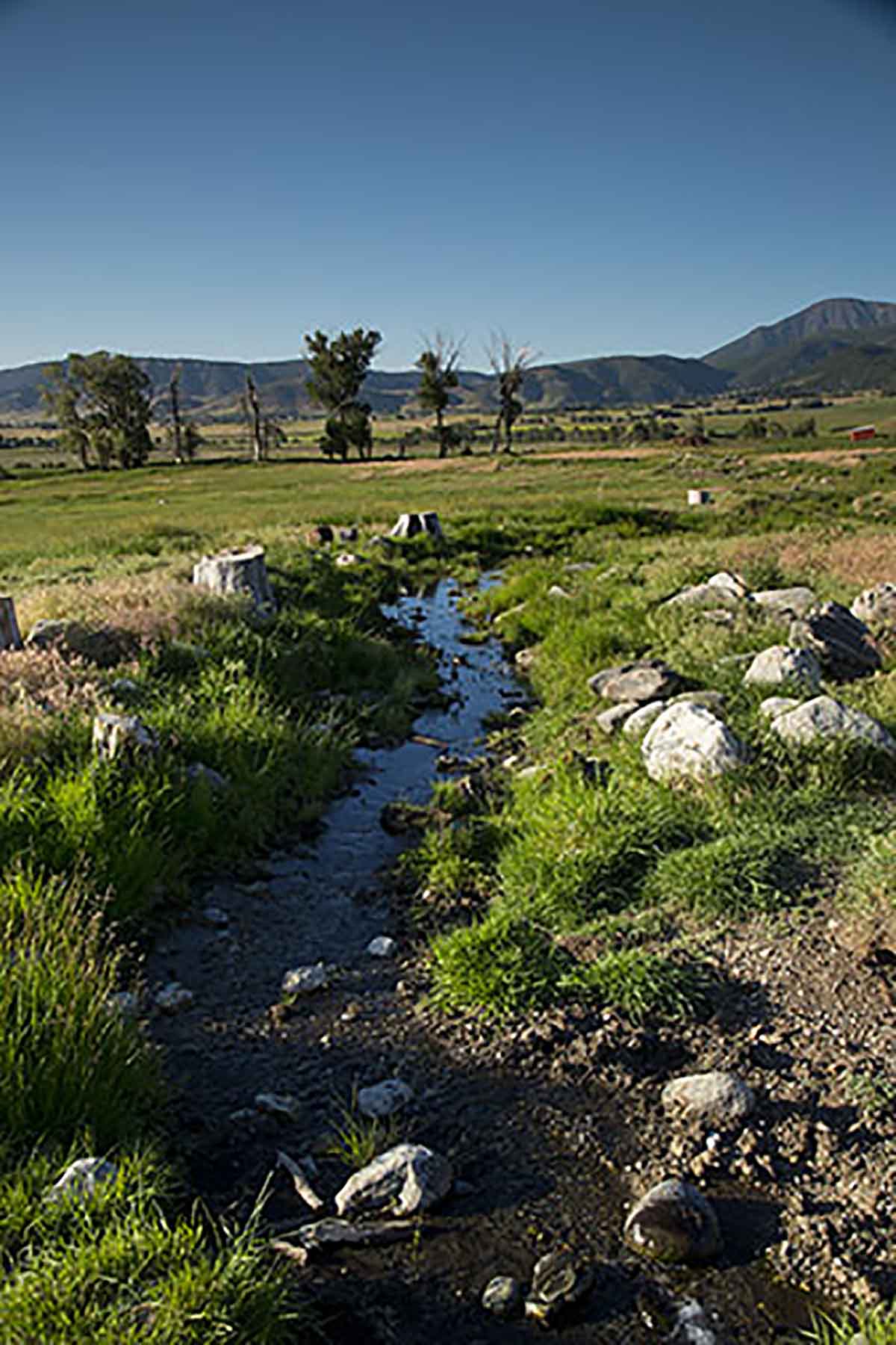 Dancing Wind Ranch property picture 125 of 137