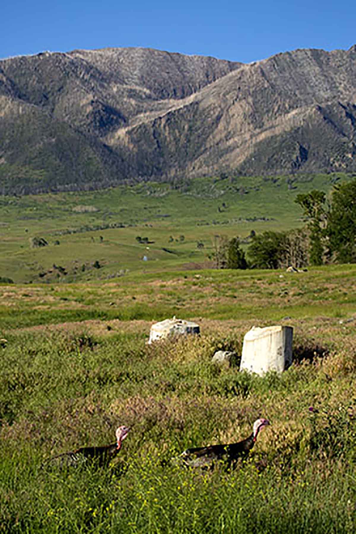 Dancing Wind Ranch property picture 123 of 137