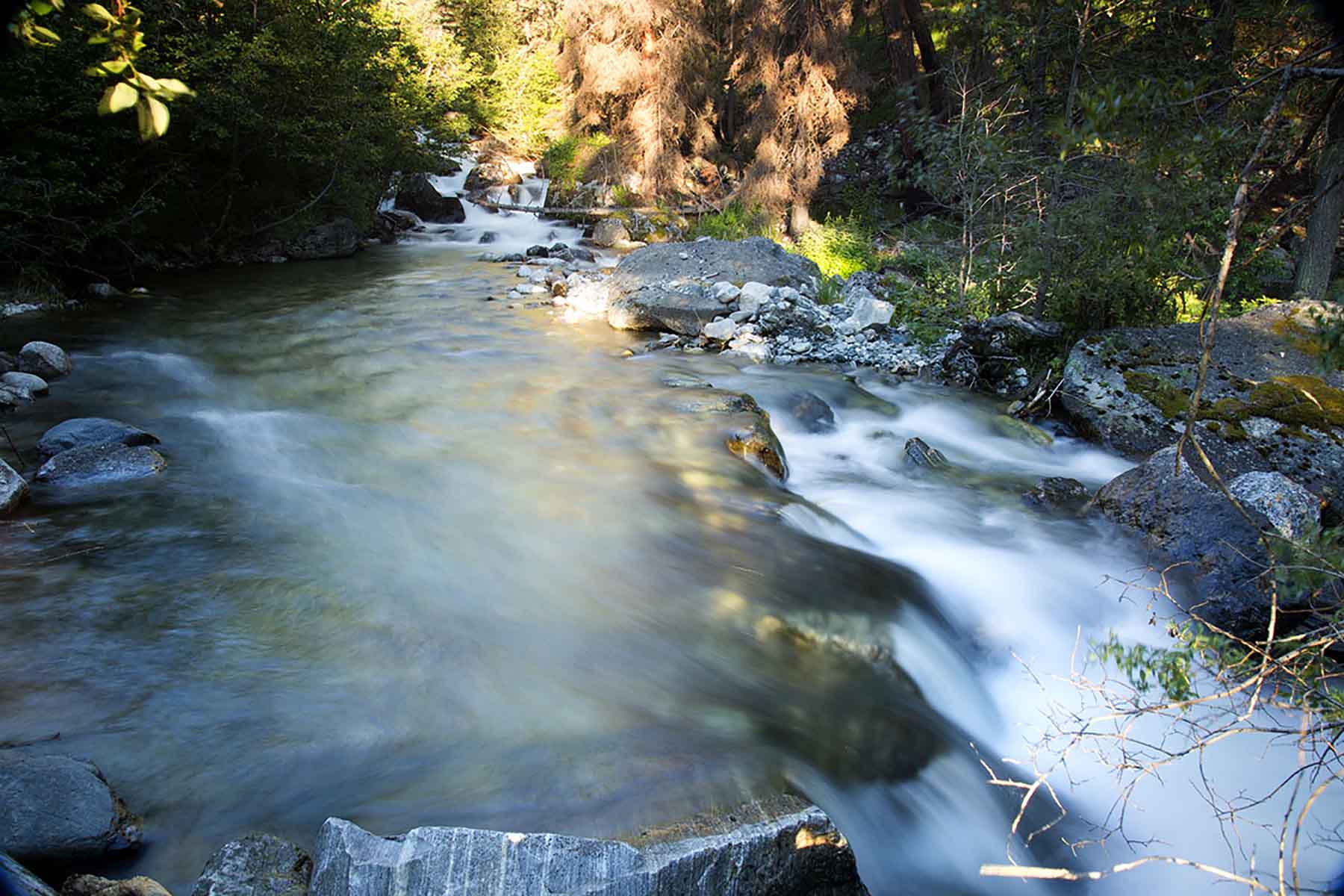 Dancing Wind Ranch property picture 111 of 137