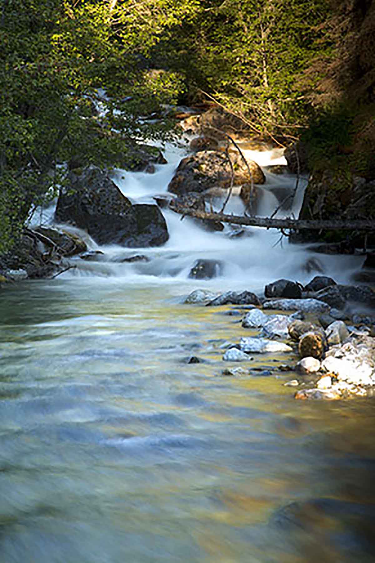 Dancing Wind Ranch property picture 109 of 137