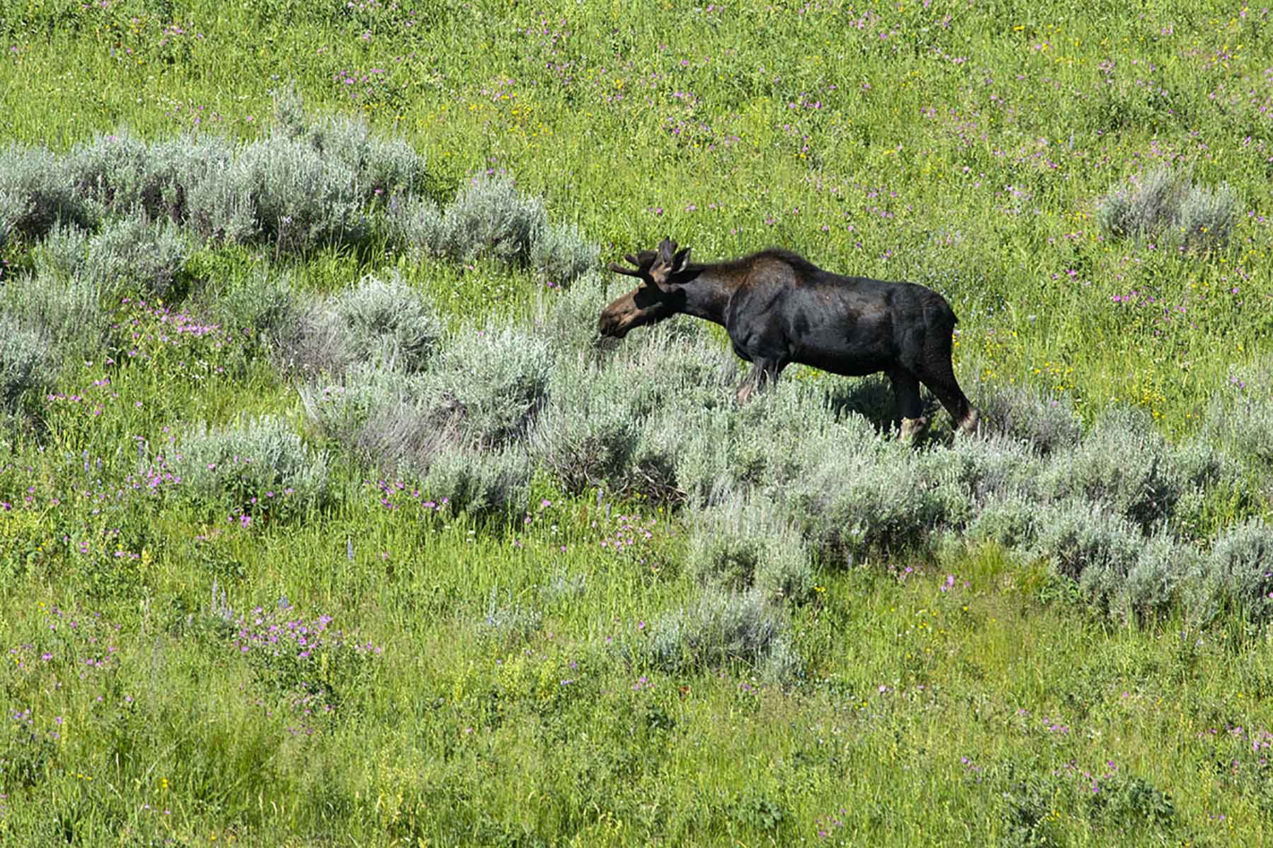 Dancing Wind Ranch property picture 108 of 137
