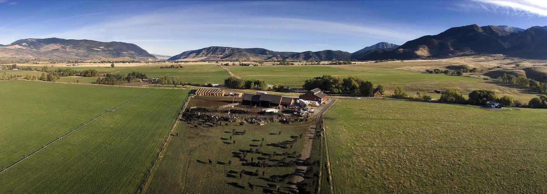 Dancing Wind Ranch property picture 104 of 137