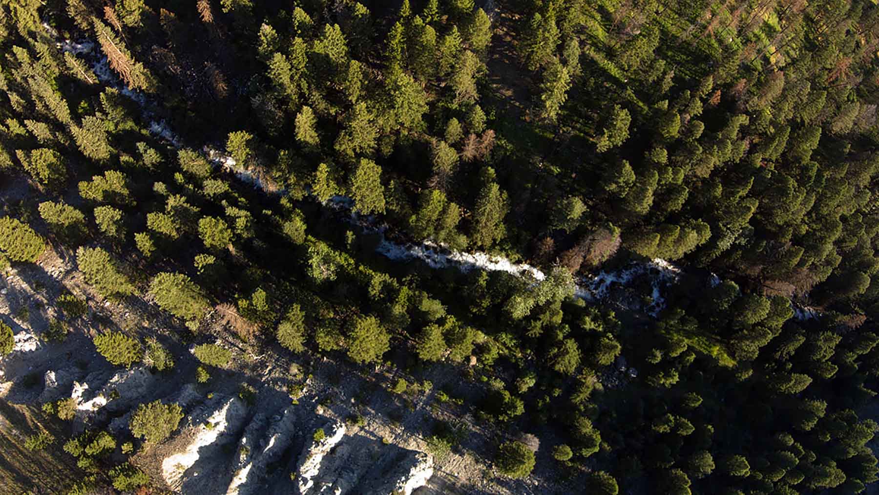 Dancing Wind Ranch property picture 25 of 137