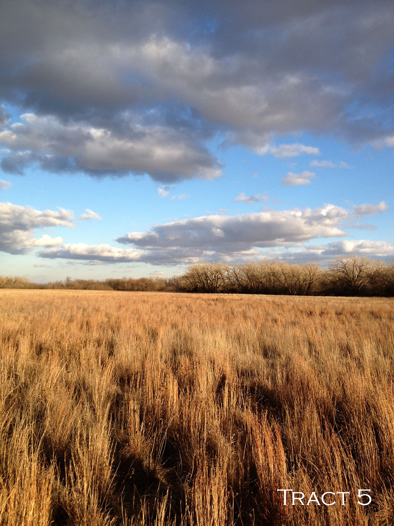 Yaggy Plantation property picture 54 of 54