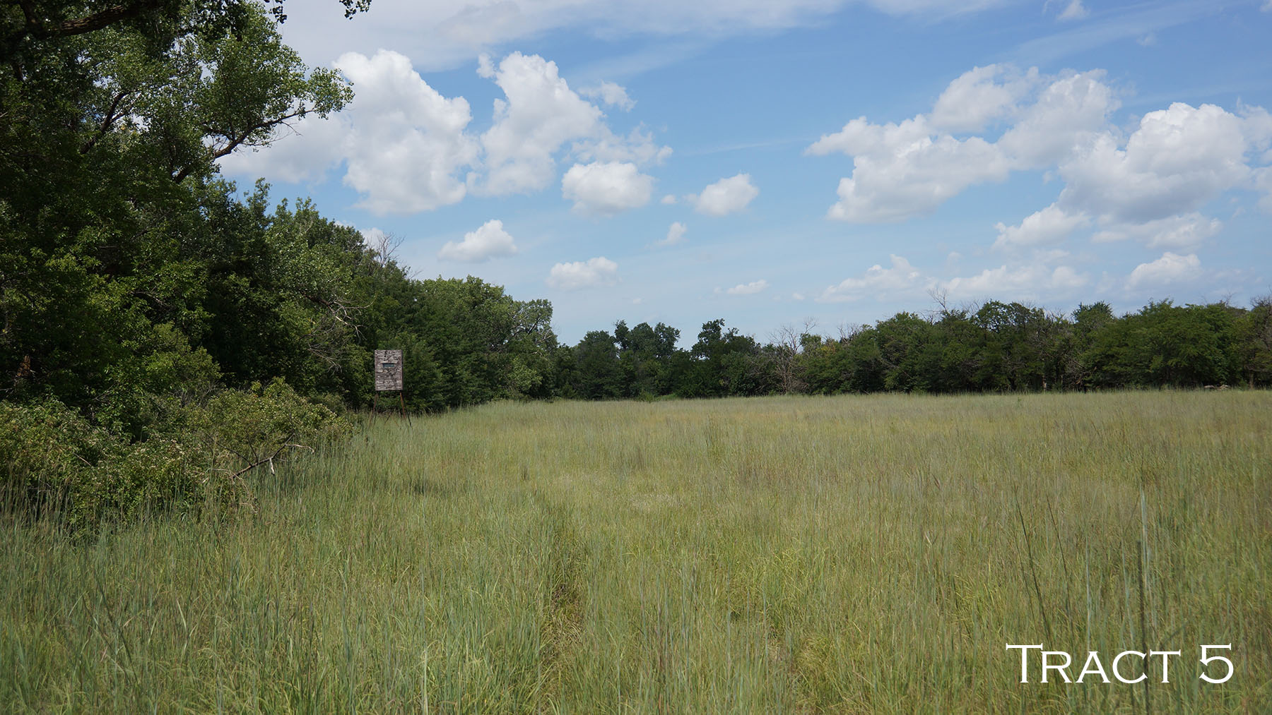 Yaggy Plantation property picture 9 of 54