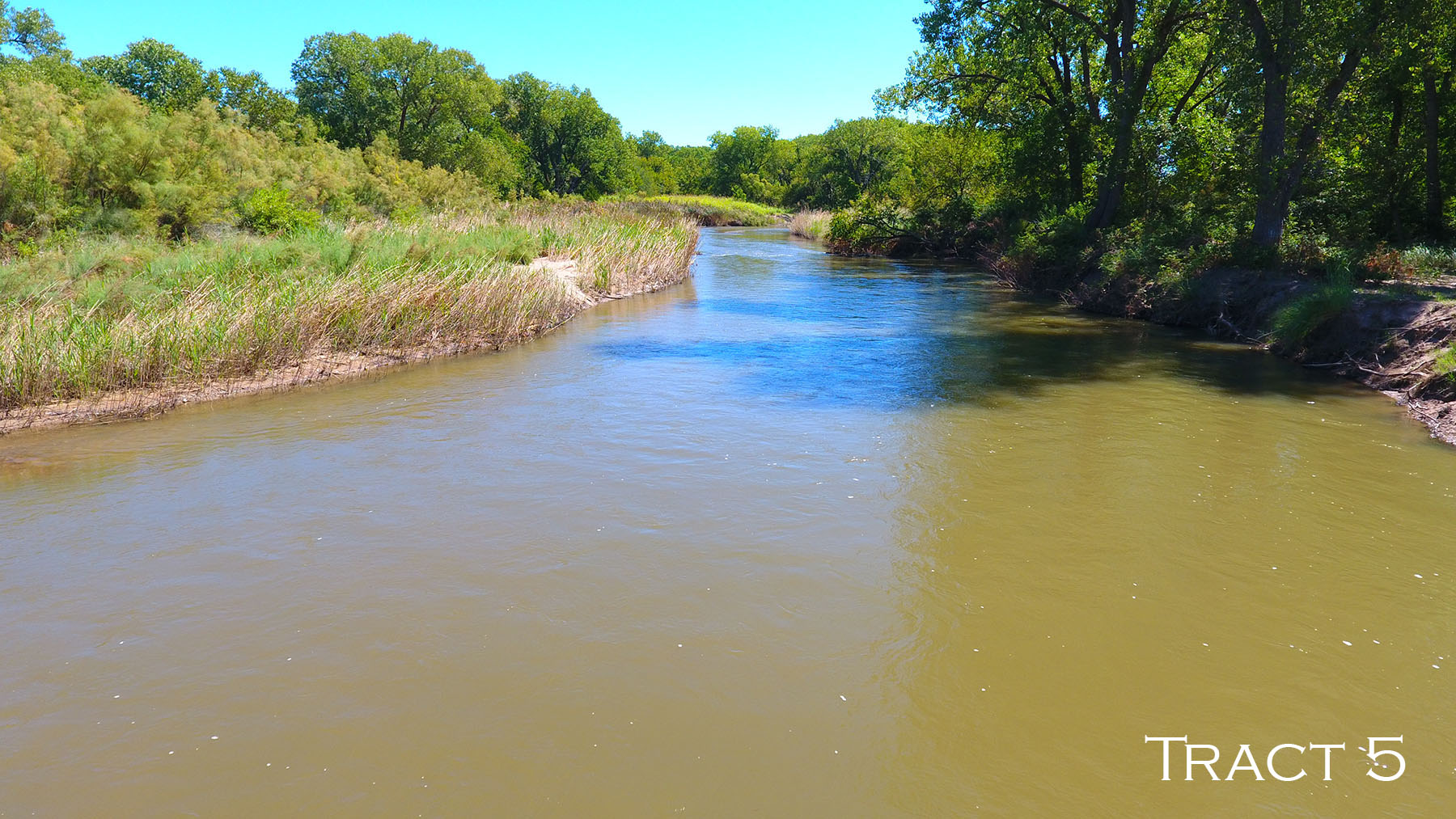 Yaggy Plantation property picture 8 of 54