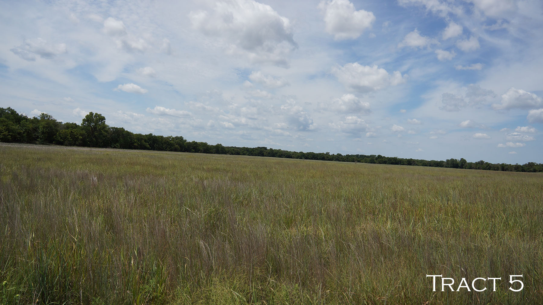 Yaggy Plantation property picture 12 of 54