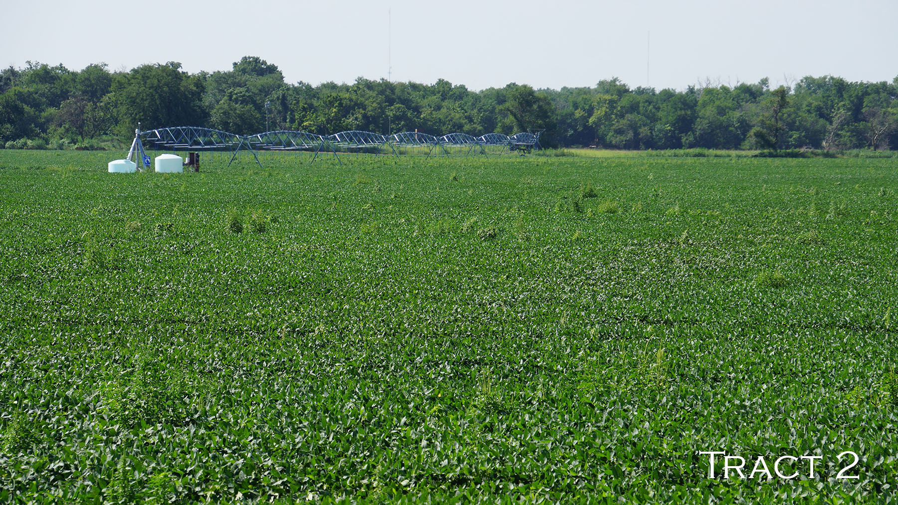 Yaggy Plantation property picture 45 of 54