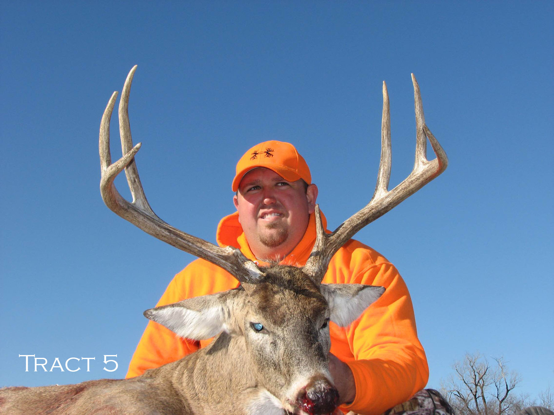 Yaggy Plantation property picture 15 of 54