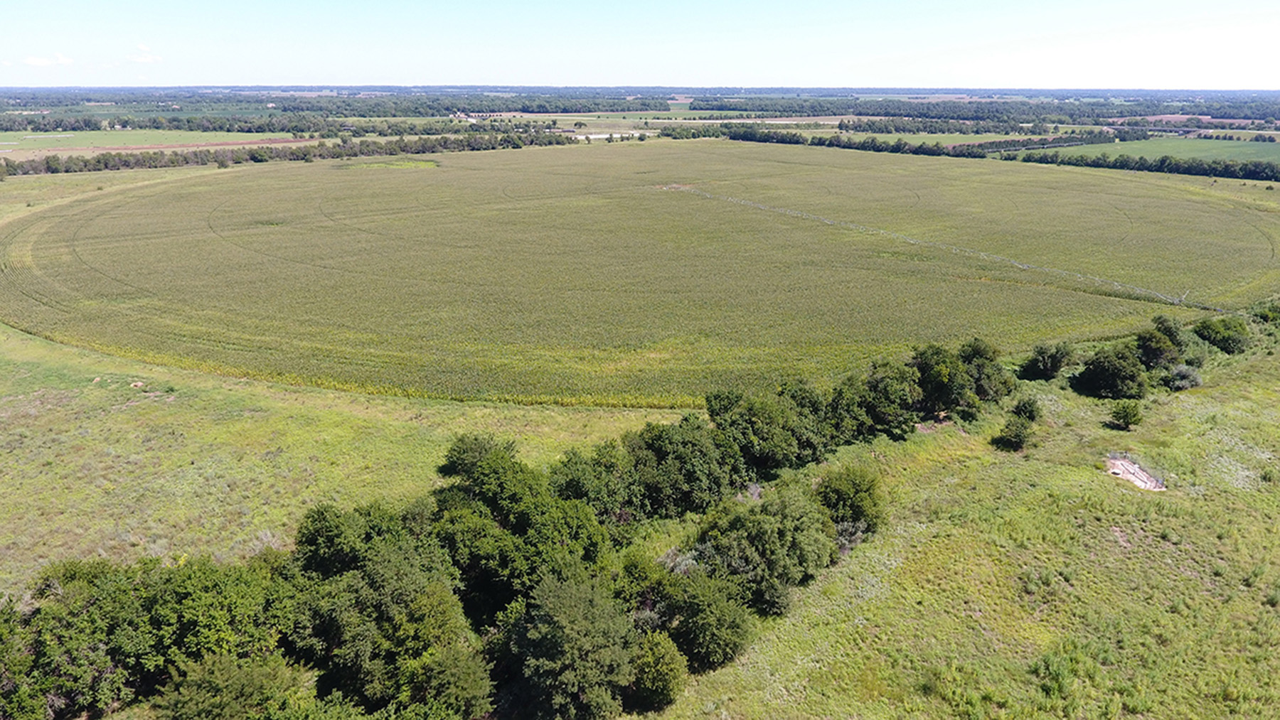 Yaggy Plantation property picture 53 of 54