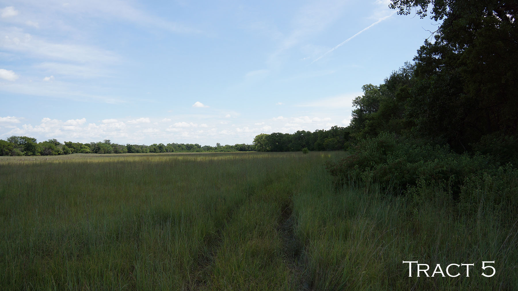 Yaggy Plantation property picture 16 of 54