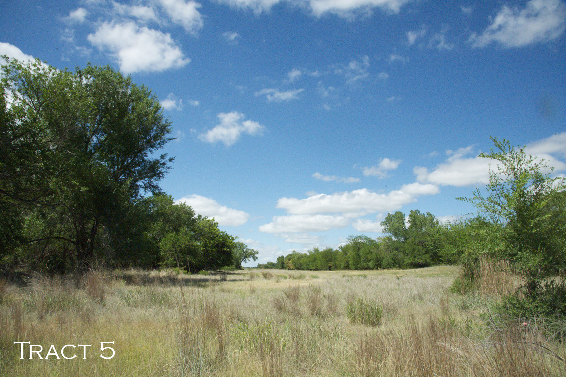 Yaggy Plantation property picture 24 of 54