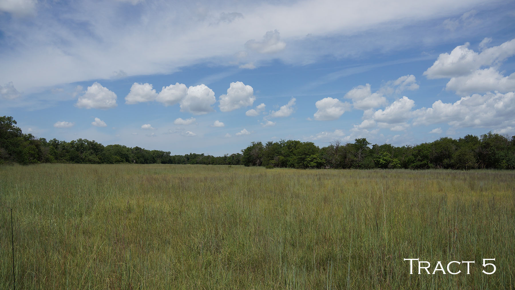 Yaggy Plantation property picture 11 of 54