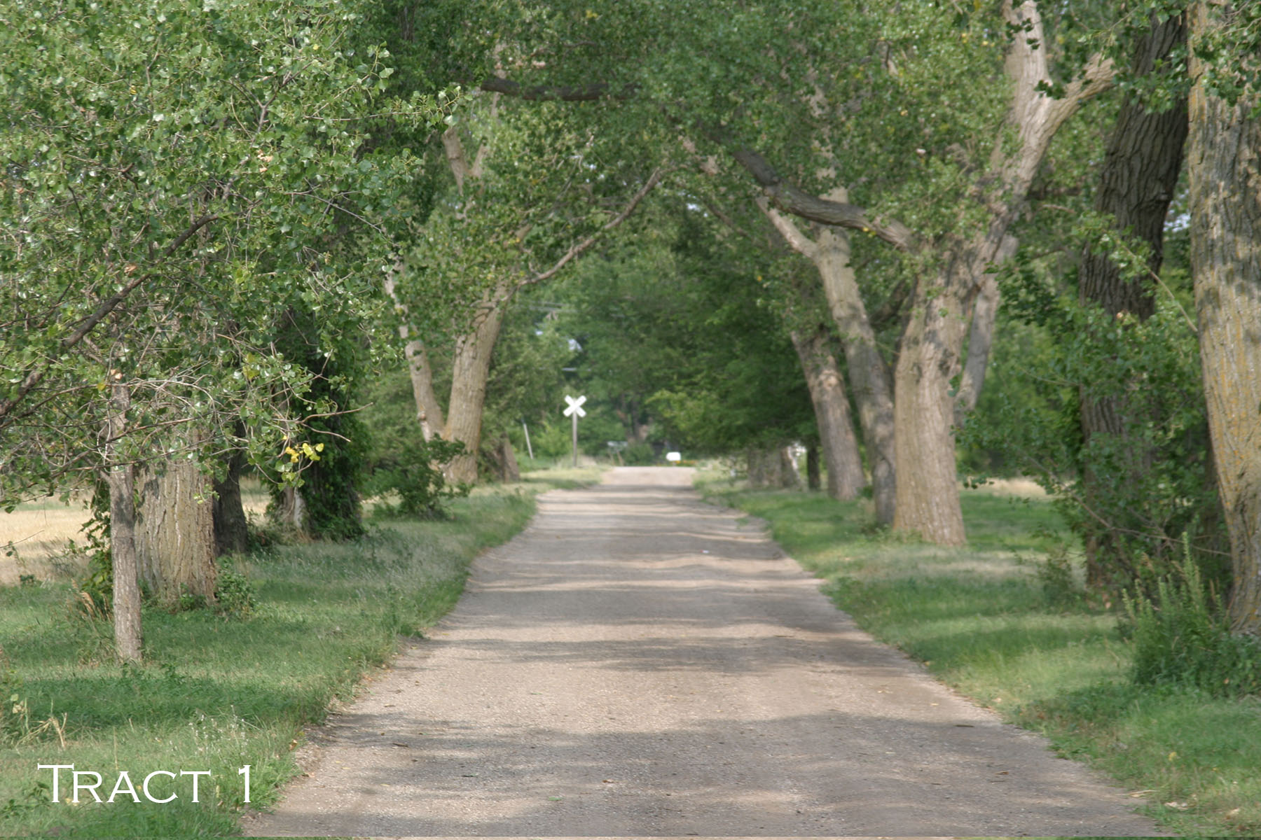 Yaggy Plantation property picture 37 of 54